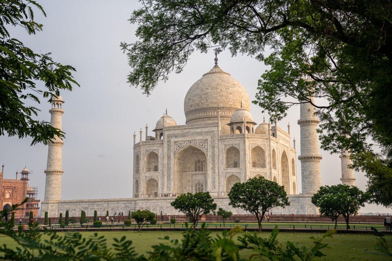 Wildlife SOS Elephant Sanctuary & Taj Mahal Tour from Delhi 2