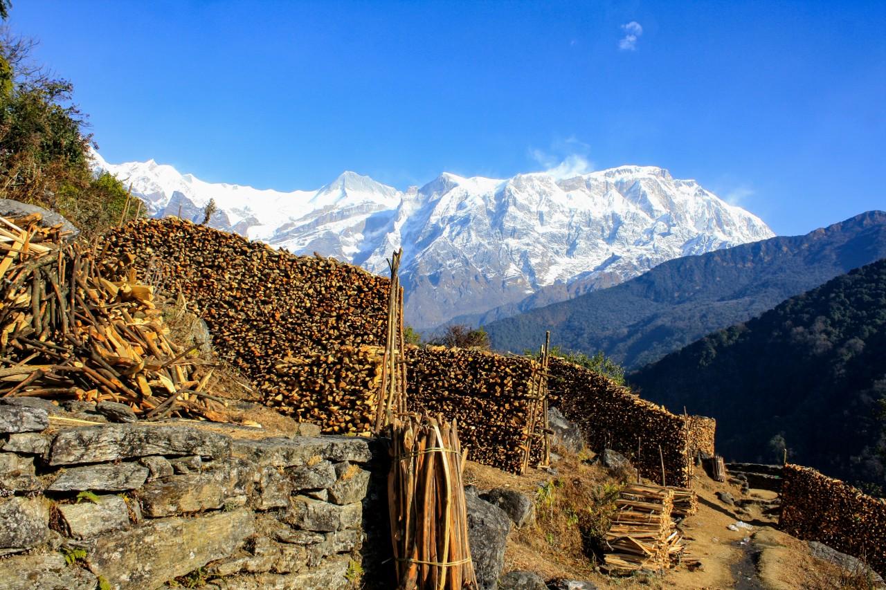 1 Day Dhampus Trek 3