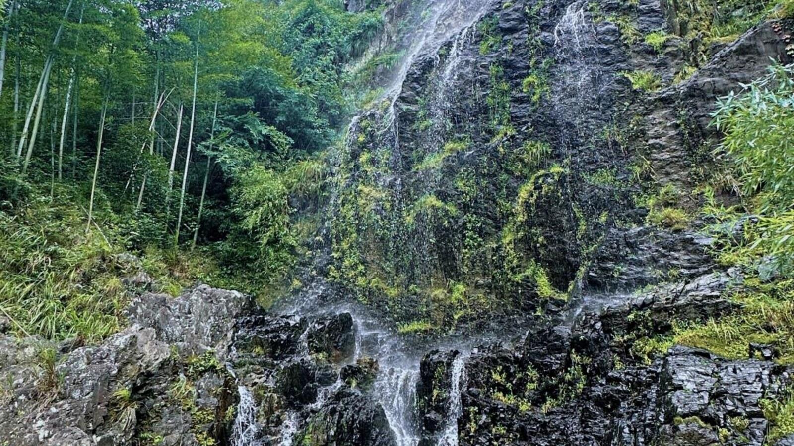 Shanghai: Anji Zhangli Trail & Waterfalls Day Trip 2