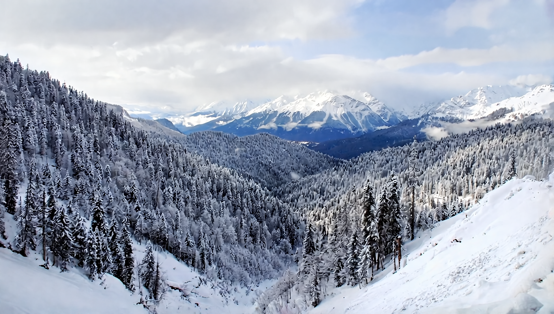 From Tbilisi: Magical Borjomi & Bakuriani with Toboggan Ride 3