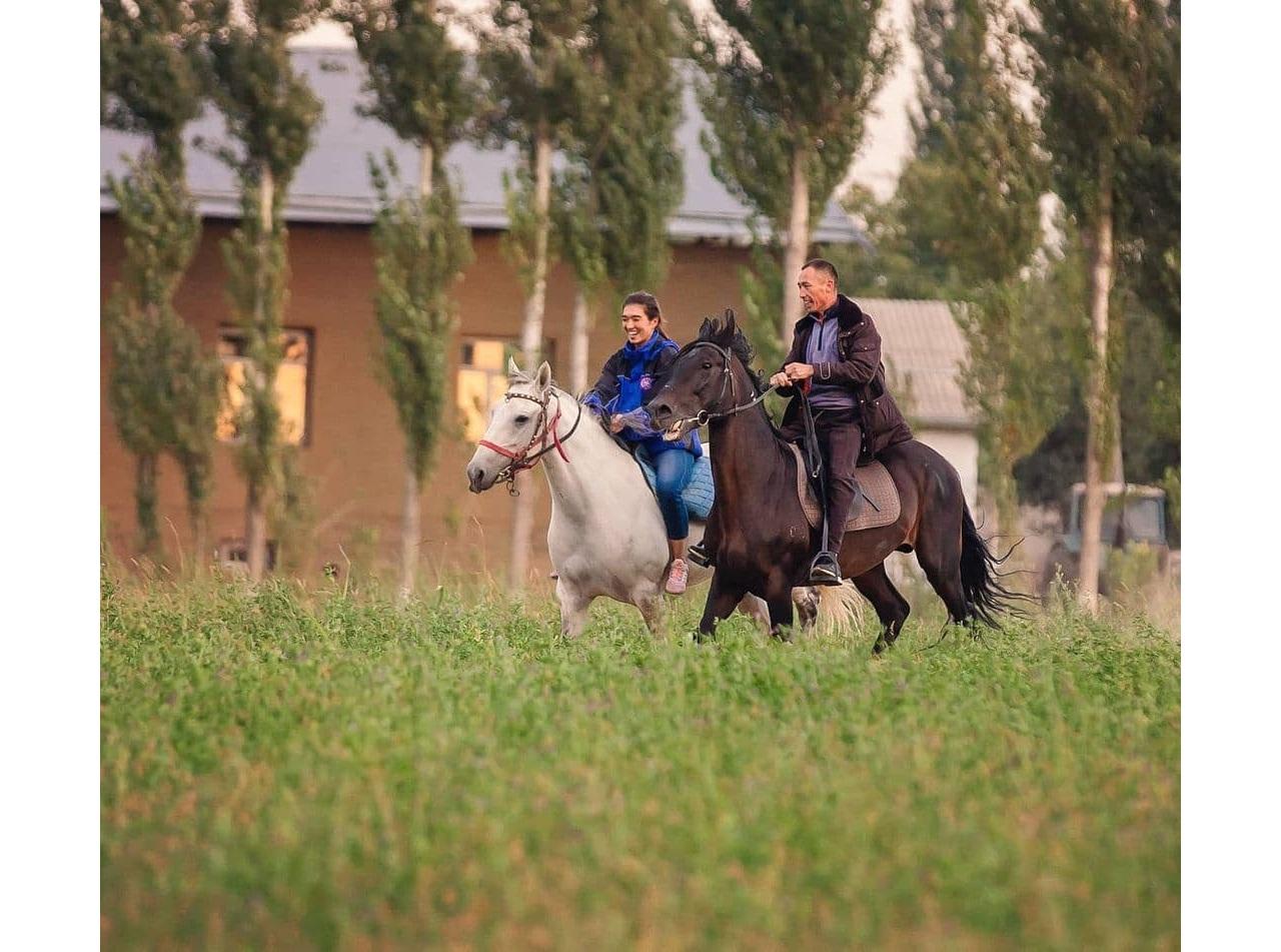 Horse Riding in Tashkent 3