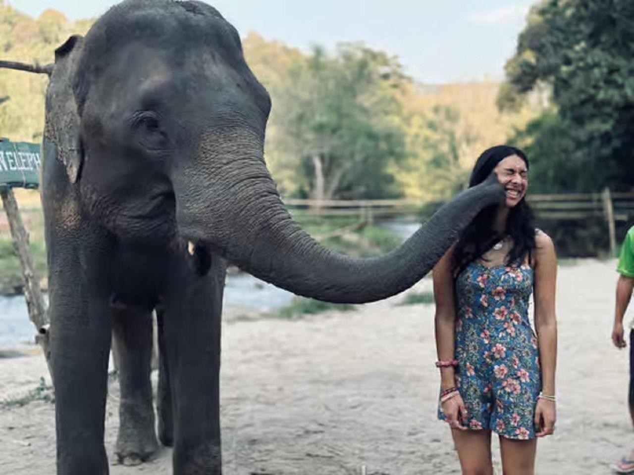Jaipur: Ethical Elephant Care Sanctuary Experience 3