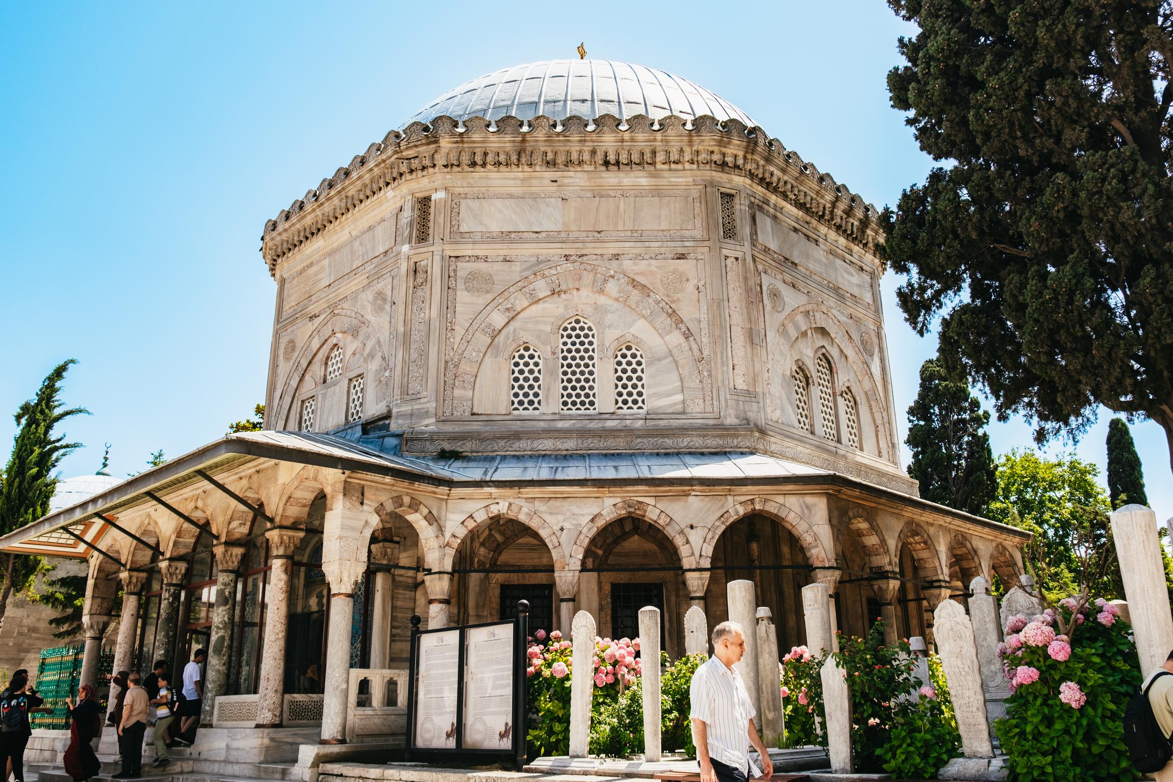 Istanbul: Hagia Sophia, Blue Mosque, Suleymaniye Mosque Tour 3
