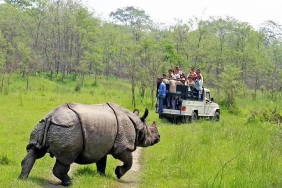 1 Day Chitwan Safari Tour from Kathmandu by Flight 3