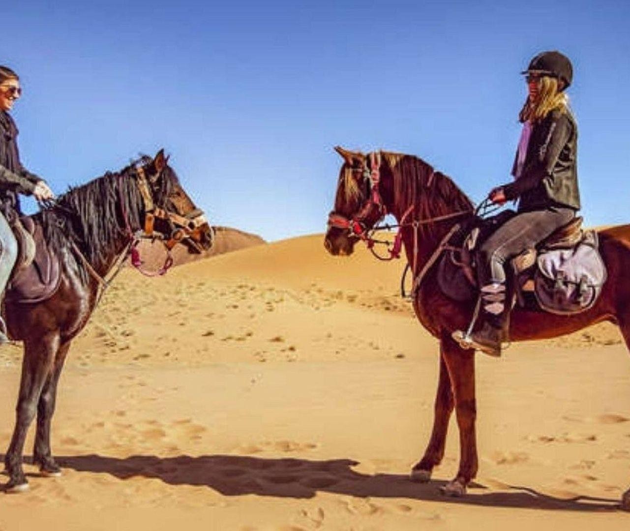 Doha Tour: Desert Guided Tour with Arabian Horse 2