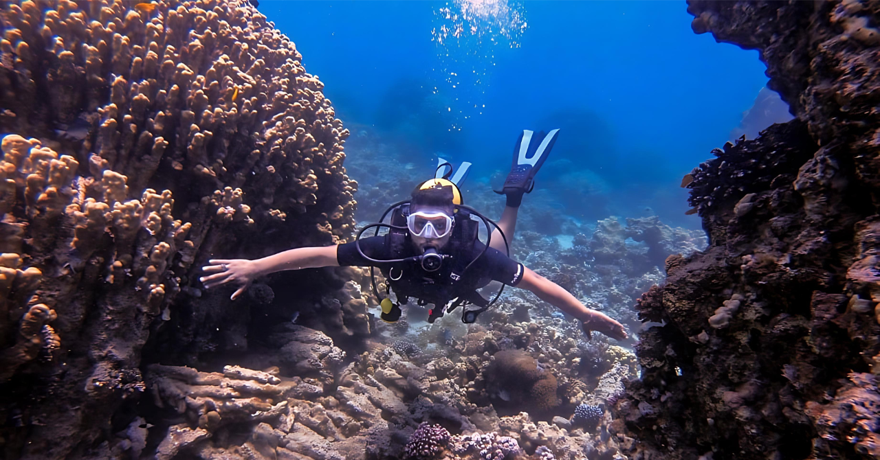 Aqaba Dive Adventure: Explore The Red Sea On A Tour 2
