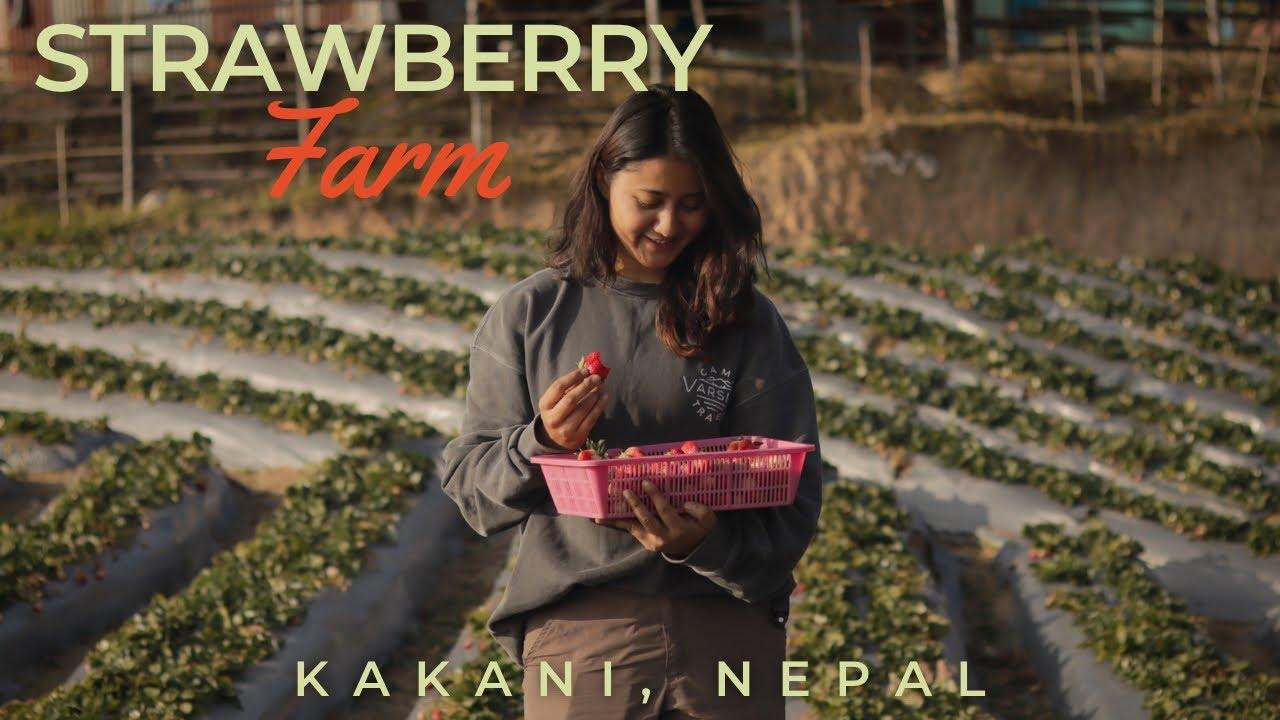 From Kathmandu: Yoga & Meditation with Kakani Farm Visit