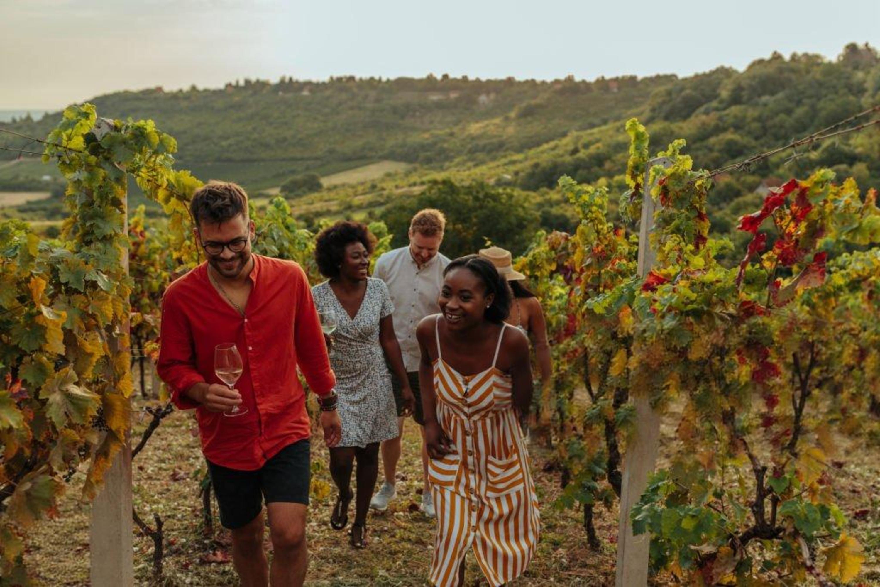 From Tbilisi to Kakheti Region, Sighnaghi, Bodbe & Wine Test 2