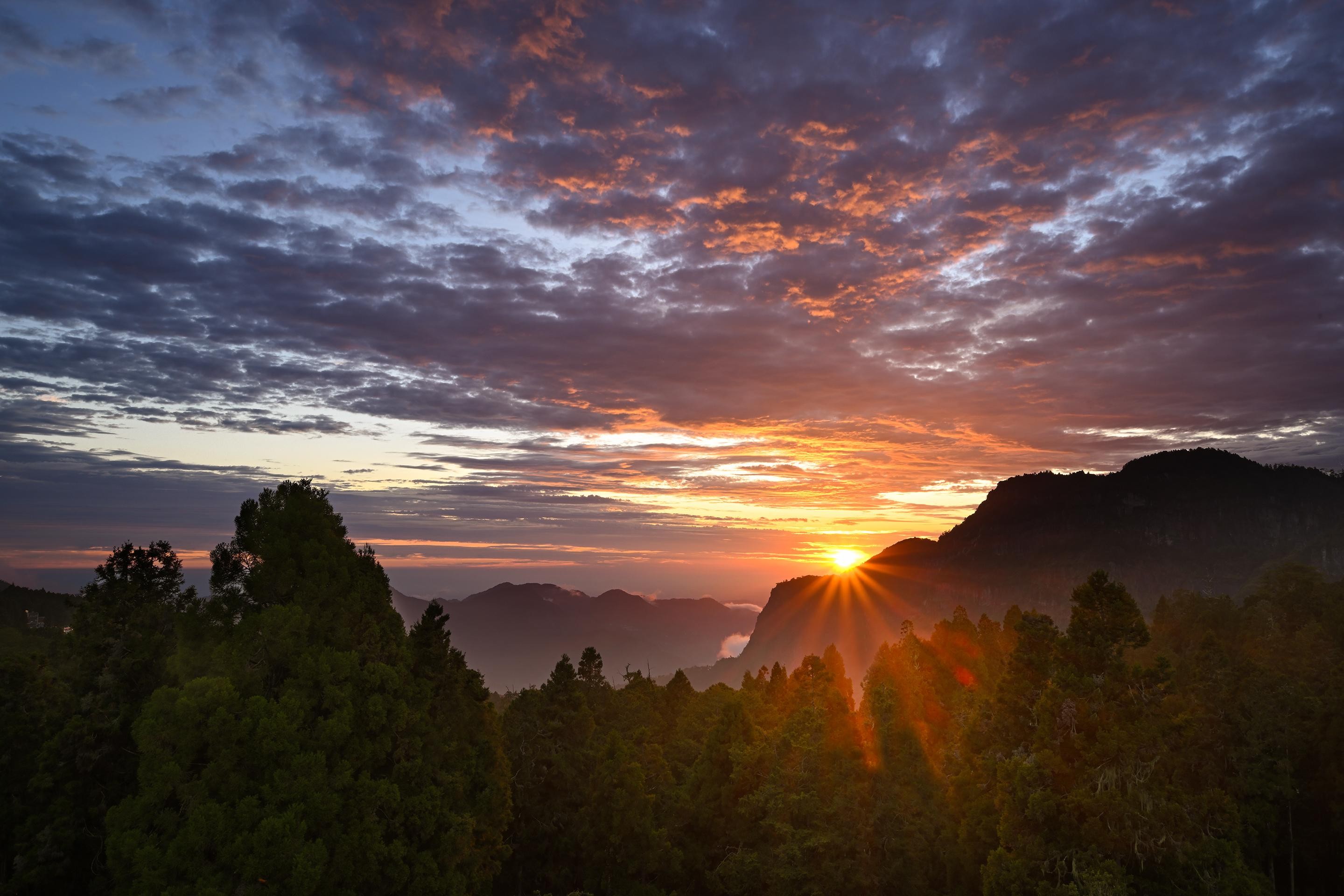 From Taipei: Private 3-Day Tour to Sun Moon Lake and Alishan 3