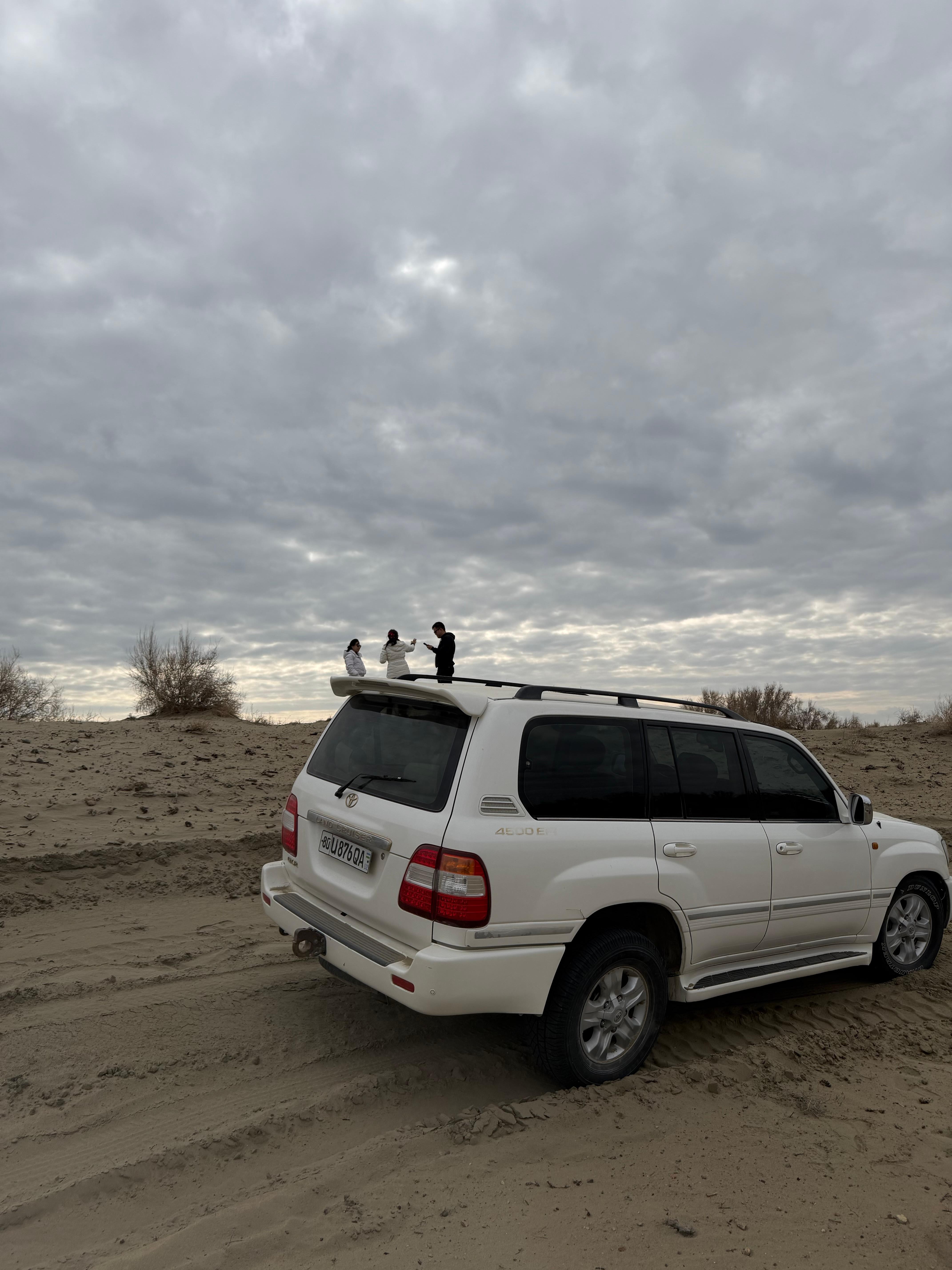 Bukhara: Desert Safari, Camel Ride And Emir's Summer Palace