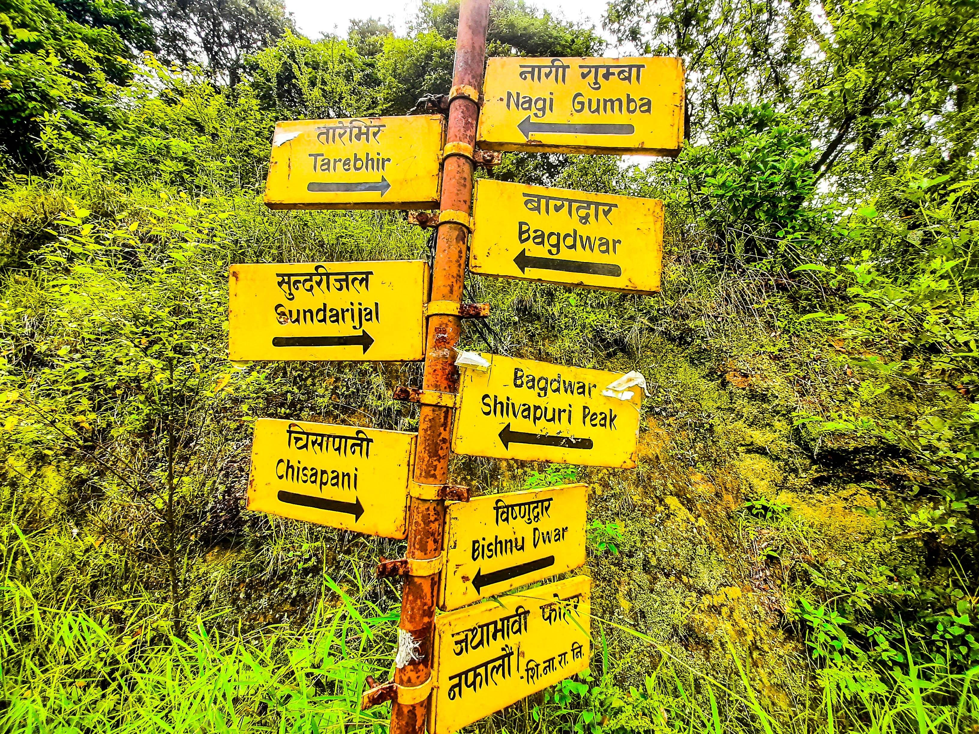 Kathmandu: Shivapuri National Park Day Hike with Lunch 2