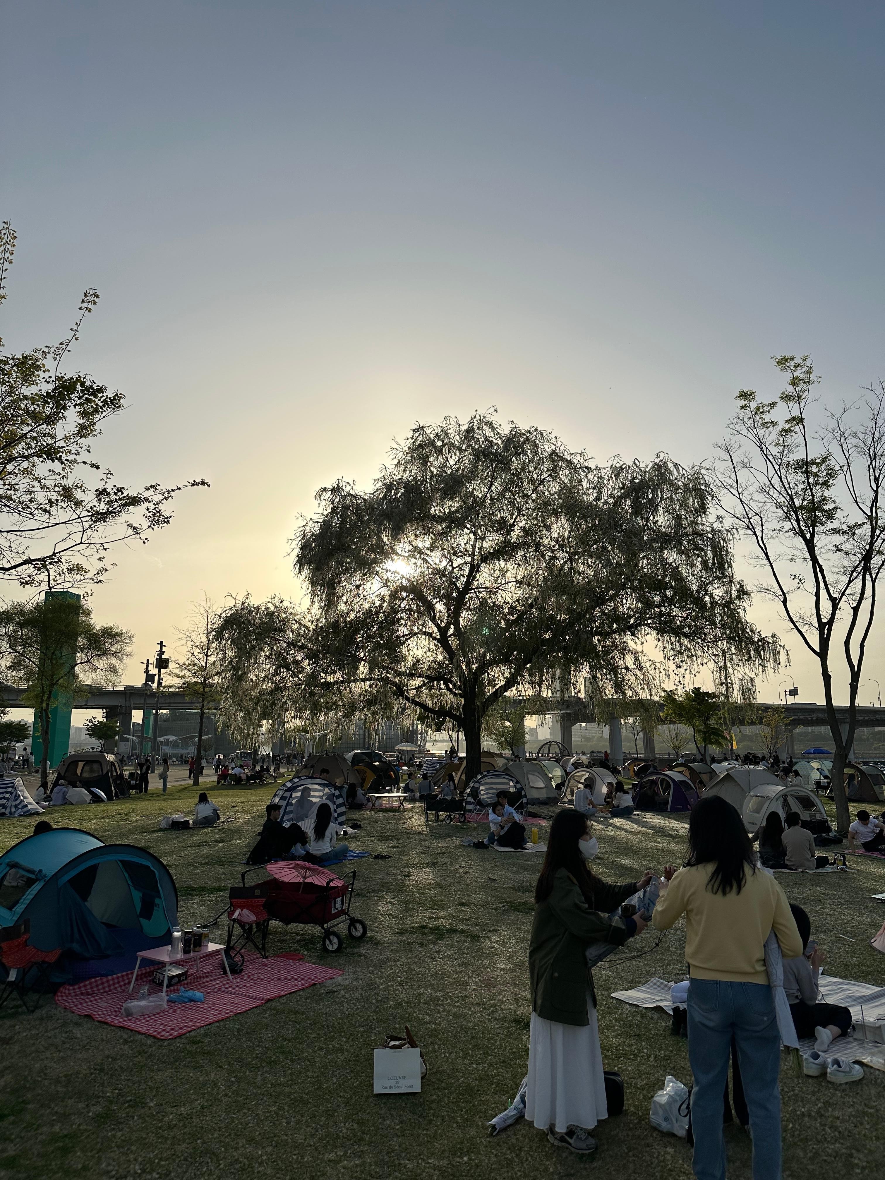 Seoul: Han River Sunset Picnic with Food and Night Walk 3