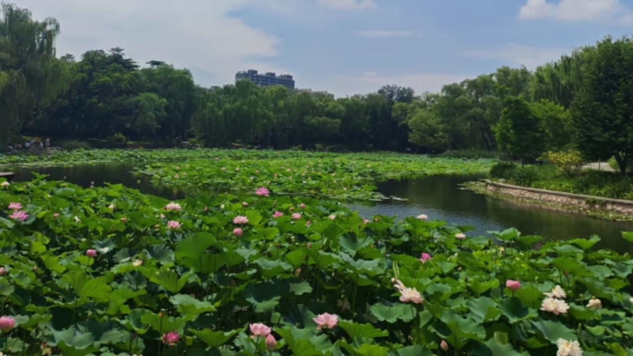 Beijing: Zizhuyuan Park and Royal Cuisine Museum Visit 2