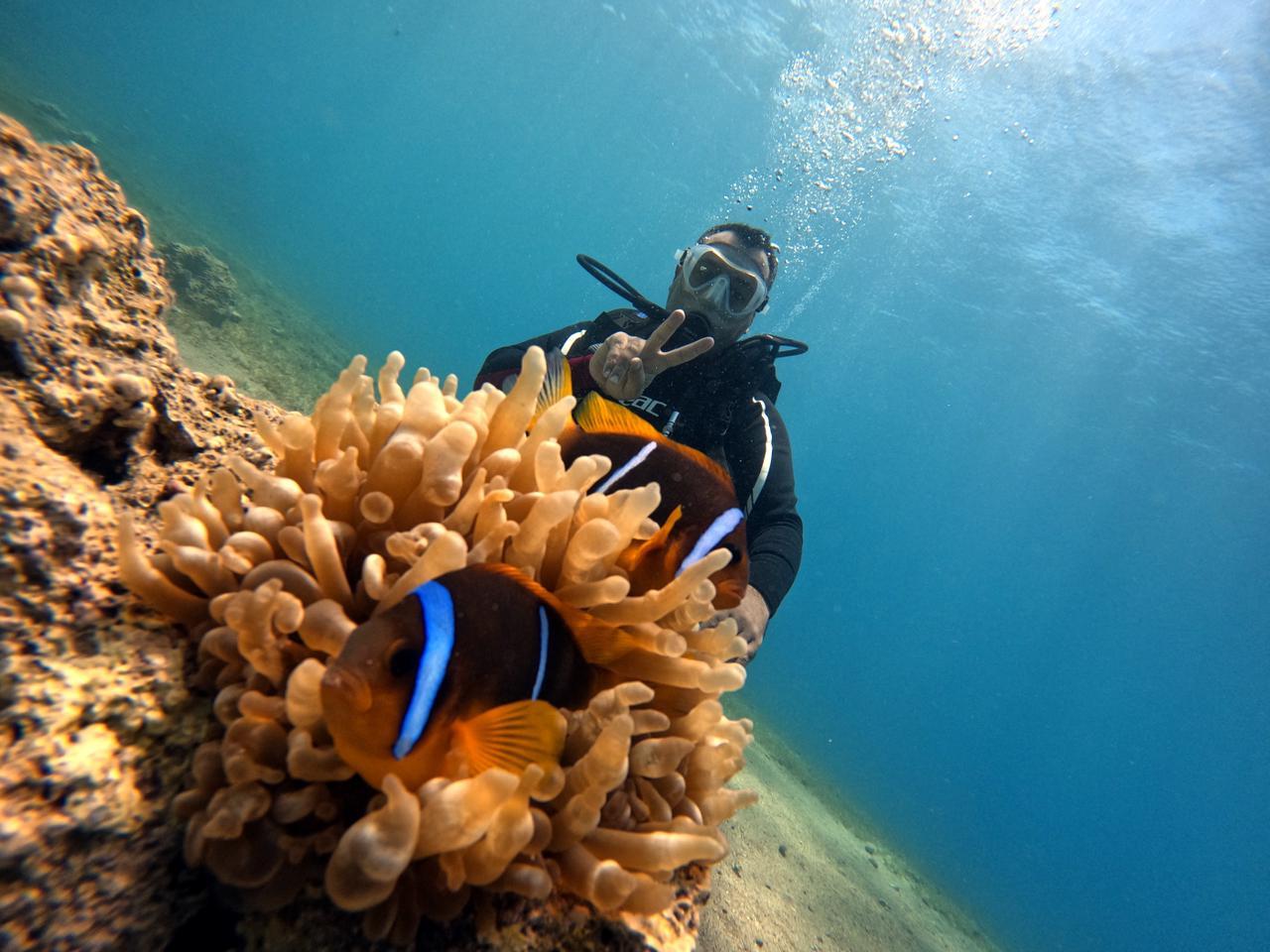 Aqaba: Guided Scuba Diving Experience with Instructor 2
