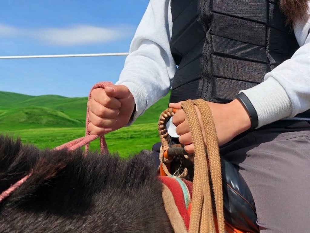 Mongolia: Horseback Riding Day Lesson and Grassland Ride 3