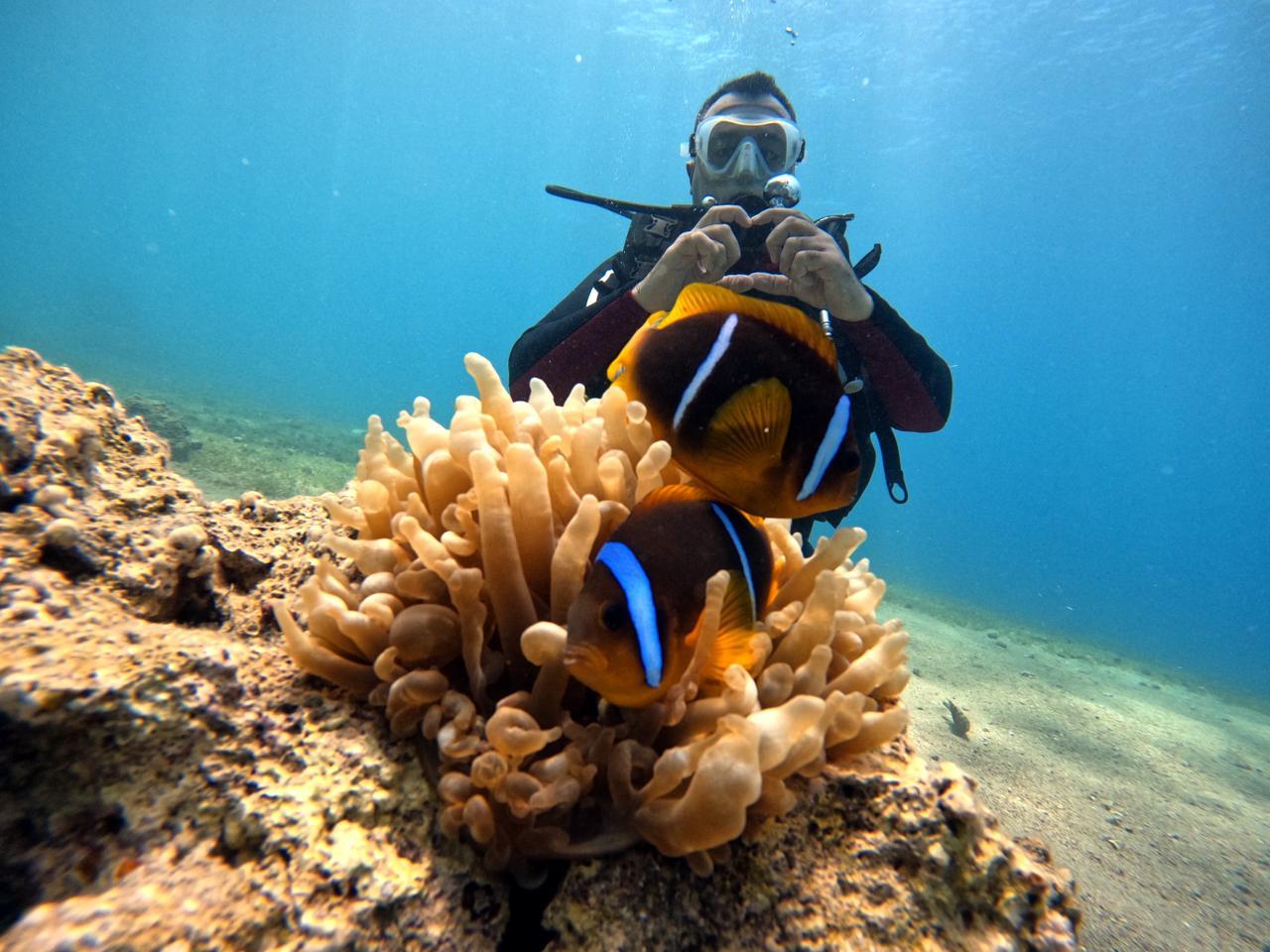 Aqaba: Guided Scuba Diving Experience with Instructor 3