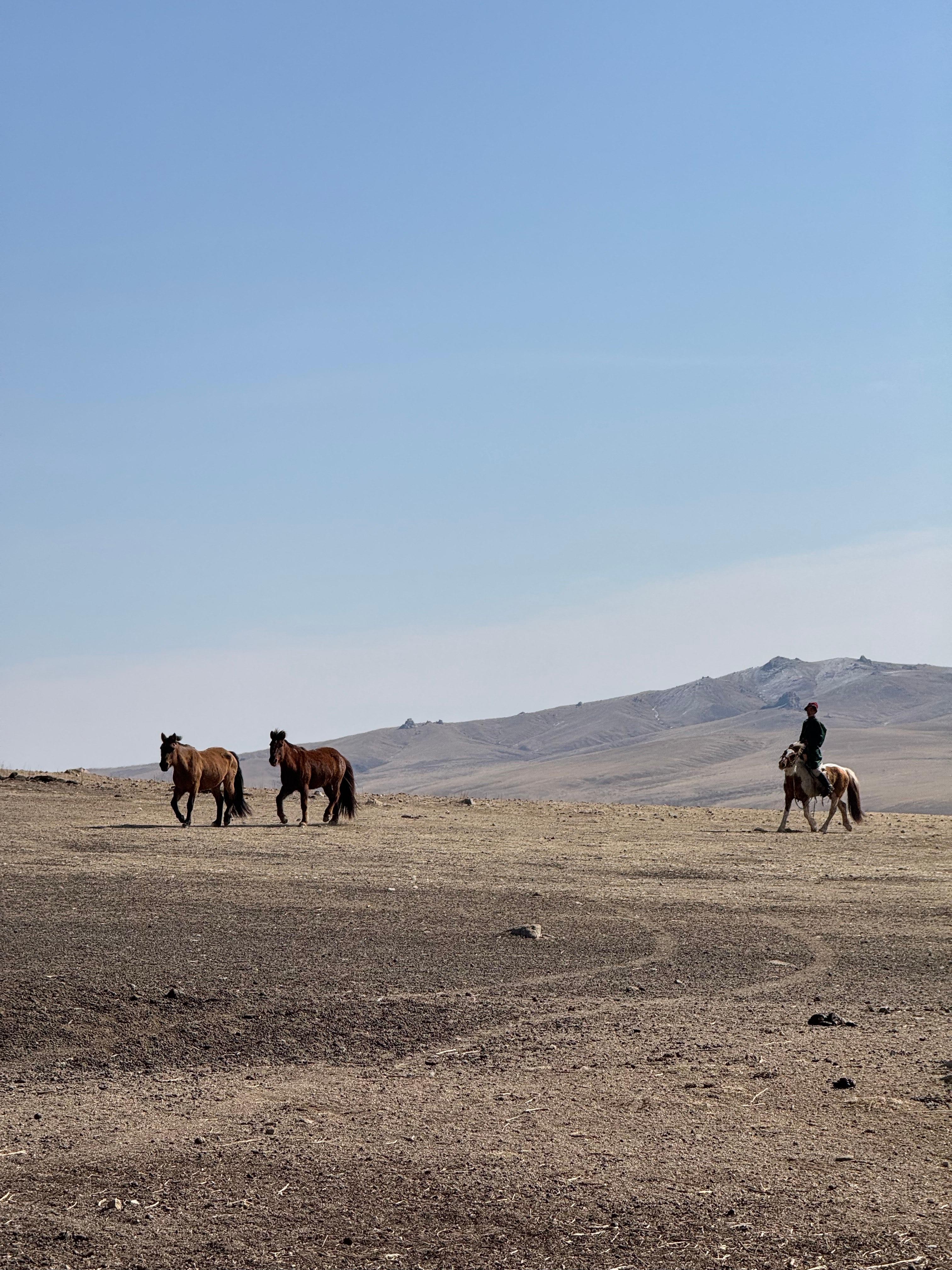 2-Day Elsen Tasarhai/Sand Dune hills & Nomadic Experience 2