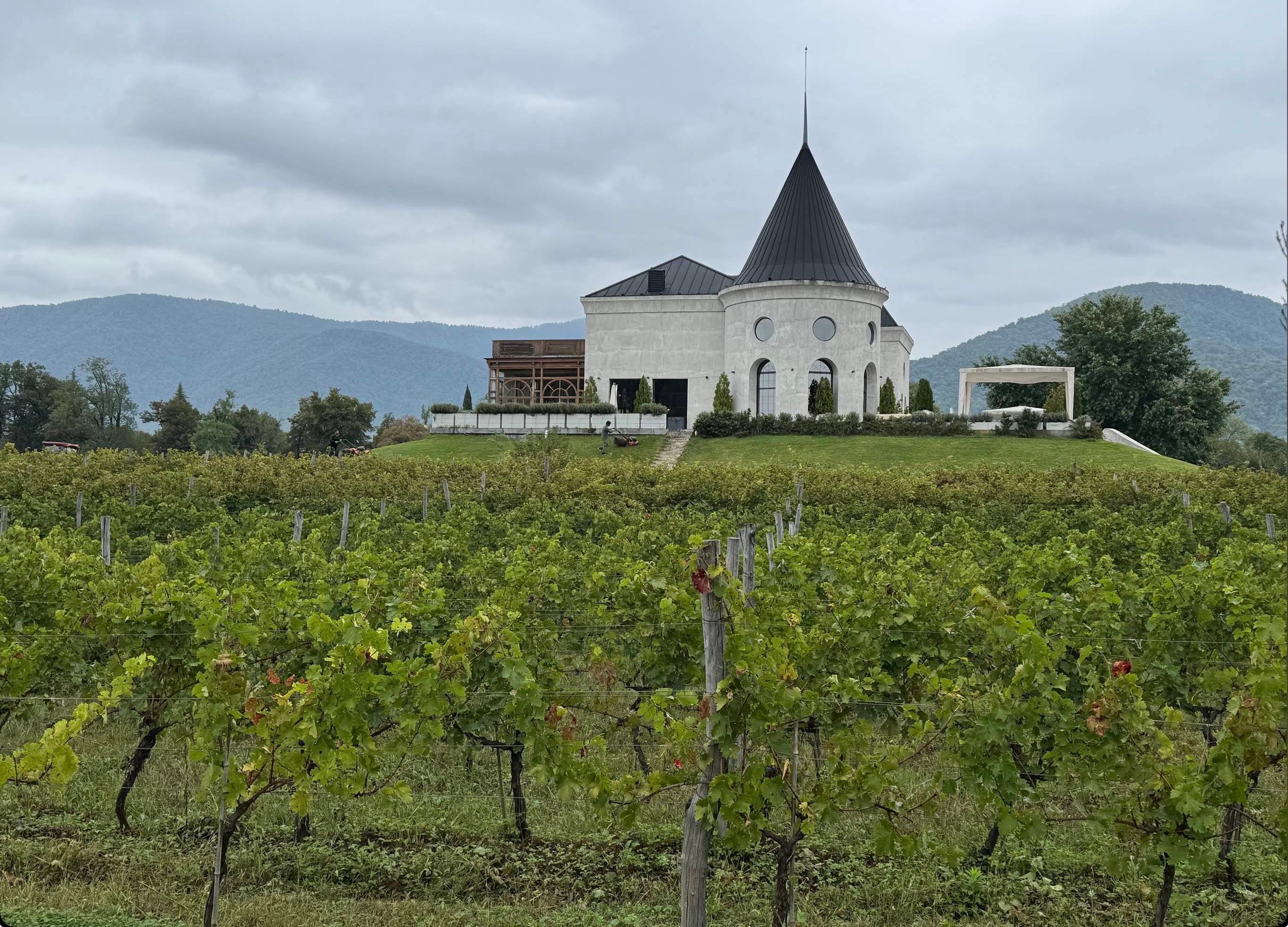 Lopota Lake: Kakheti Horseback Ride, Wine Tasting