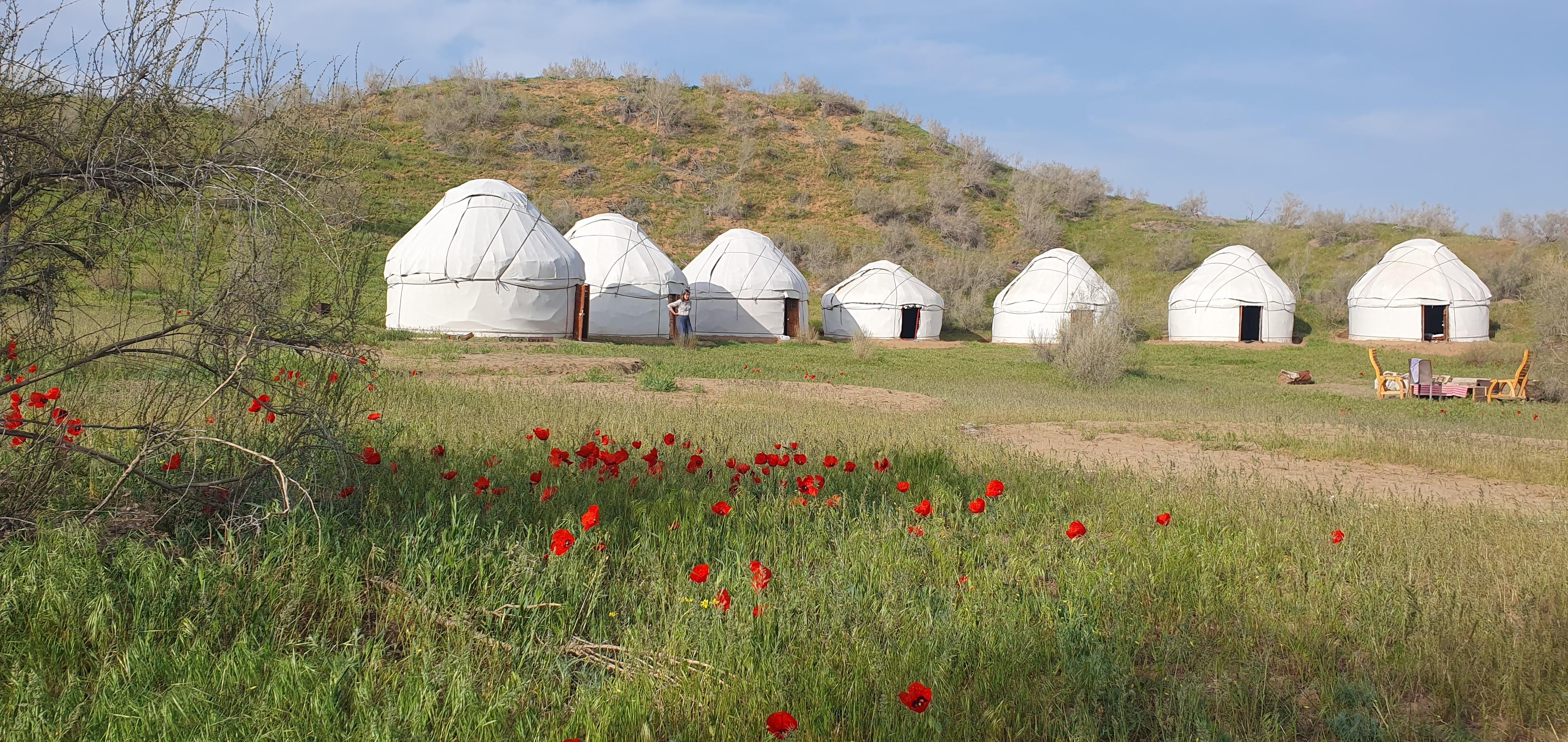 2-Day Authentic Desert Yurt Escape from Samarkand or Bukhara 2