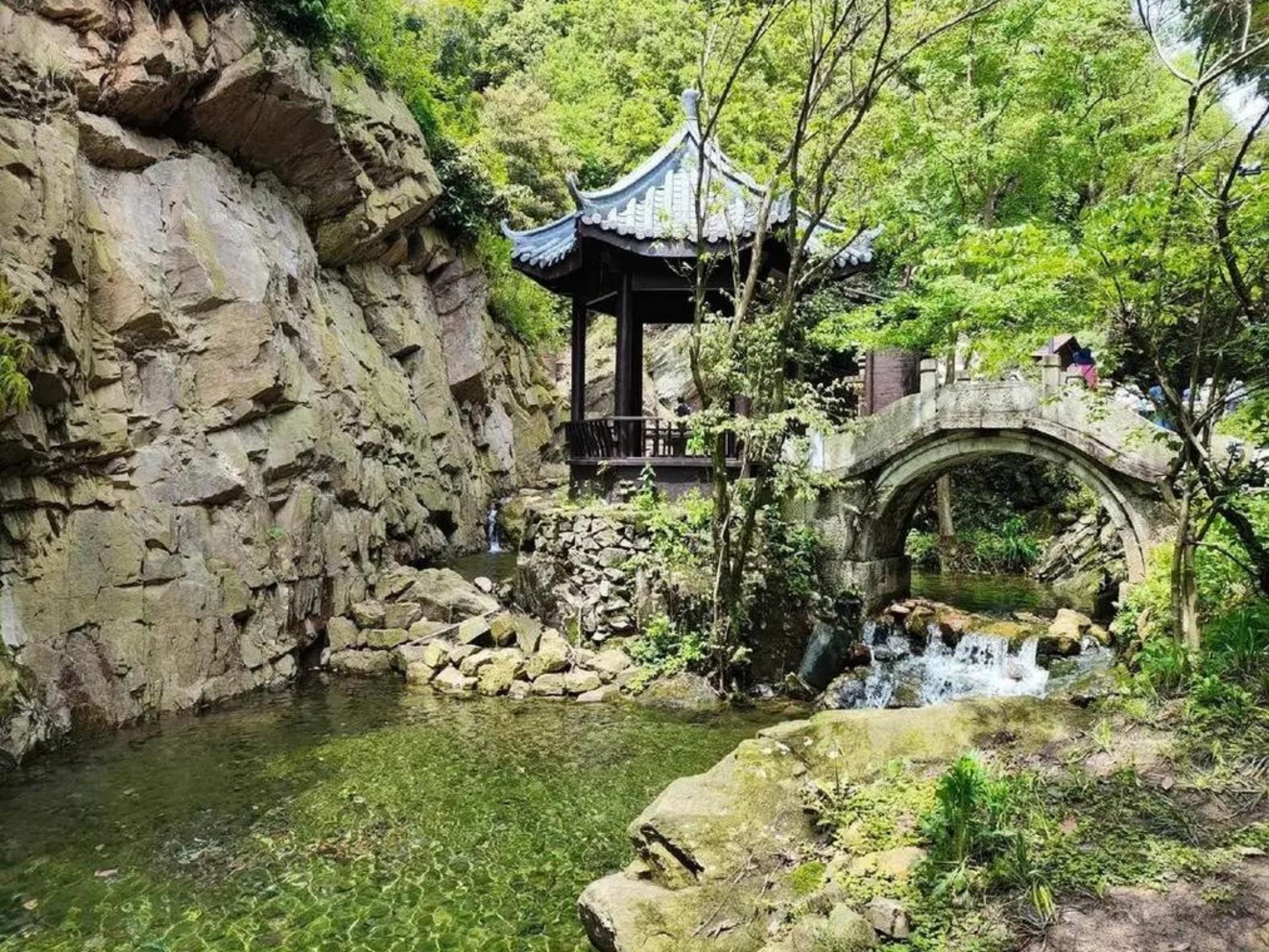 Shanghai: Tribute Tea Path Family Hike & Cooking Day