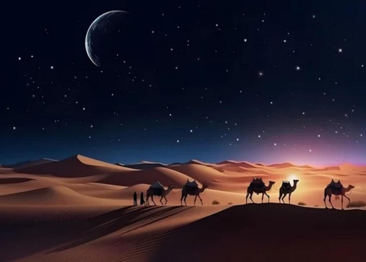 Doha: Inland Sea Desert Safari with Night Stargazing Option