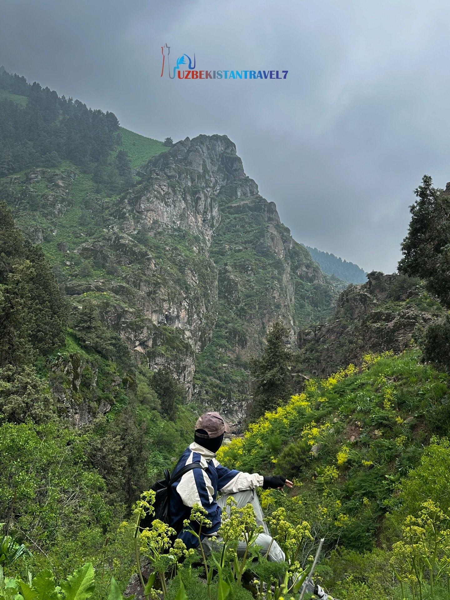From Tashkent: Lashkerak Forest Guided Hike with Picnic