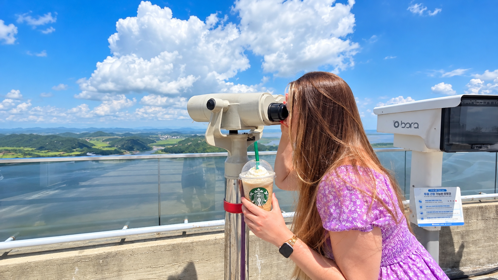 Seoul: Aegibong Starbucks Observatory & DMZ North Korea View