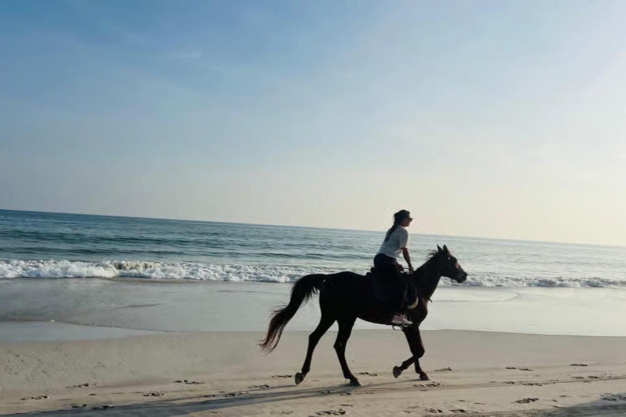 Salalah: Camel, Horse, Quad Riding Adventure on the Beach