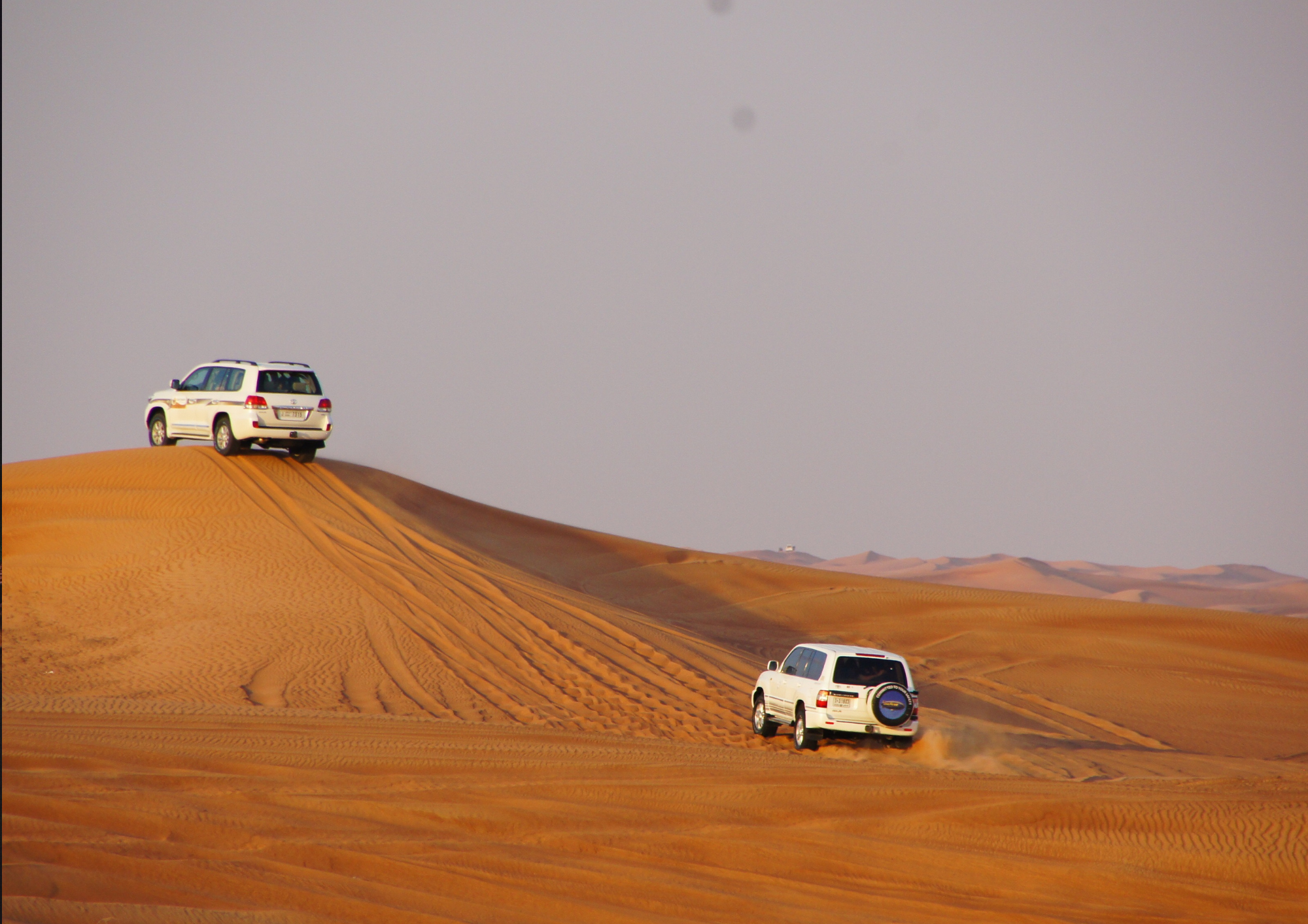 Sunrise : Privare Dune Bashing, Camel Ride & Sandboarding 3
