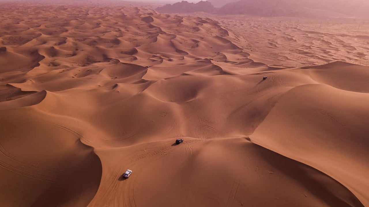 Qatar : Desert Safari, Falcon, Camel, ATV, Sandboarding 3