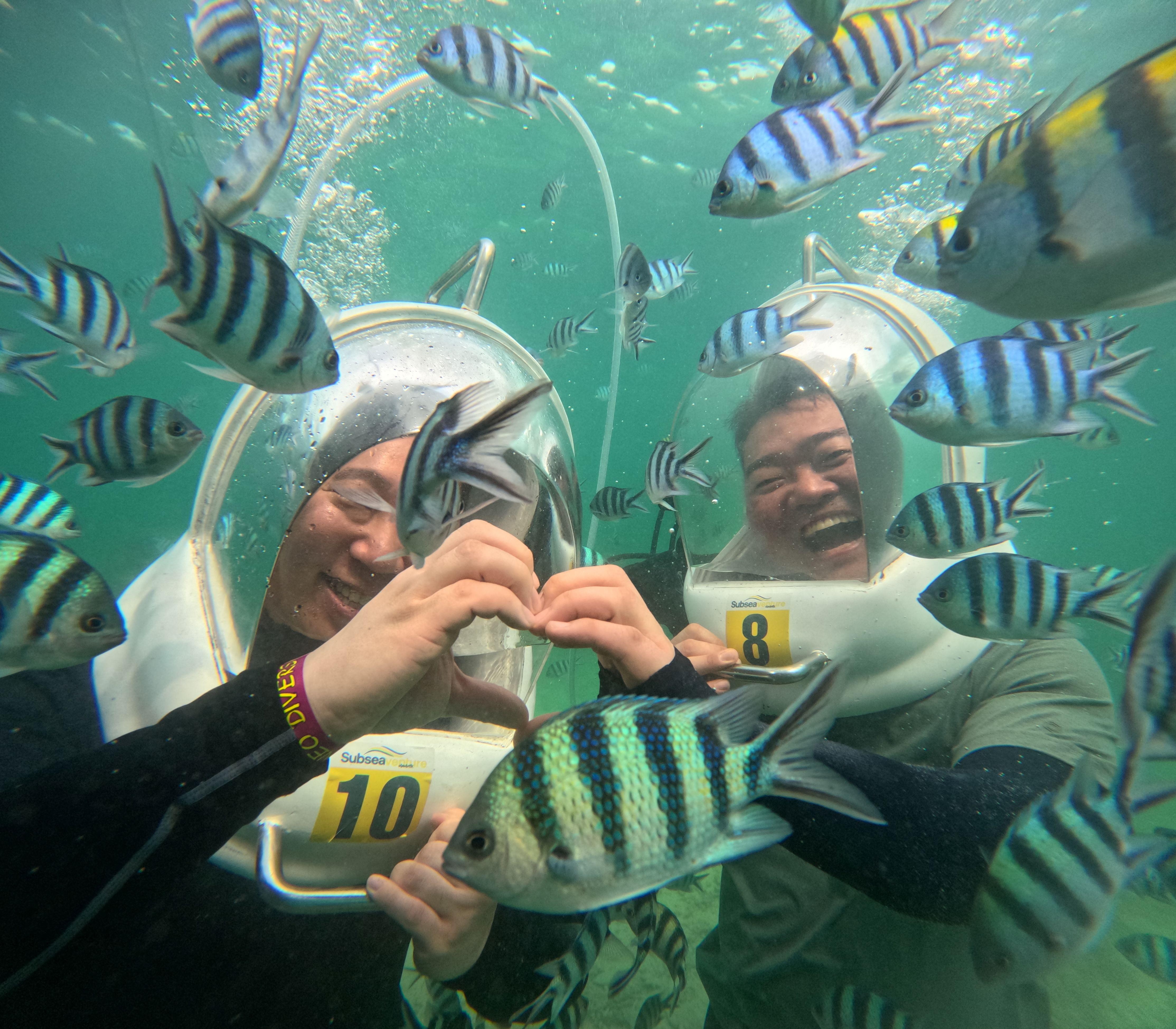 Manukan + Sapi Islands Underwater Adventure Seawalking Tour 3