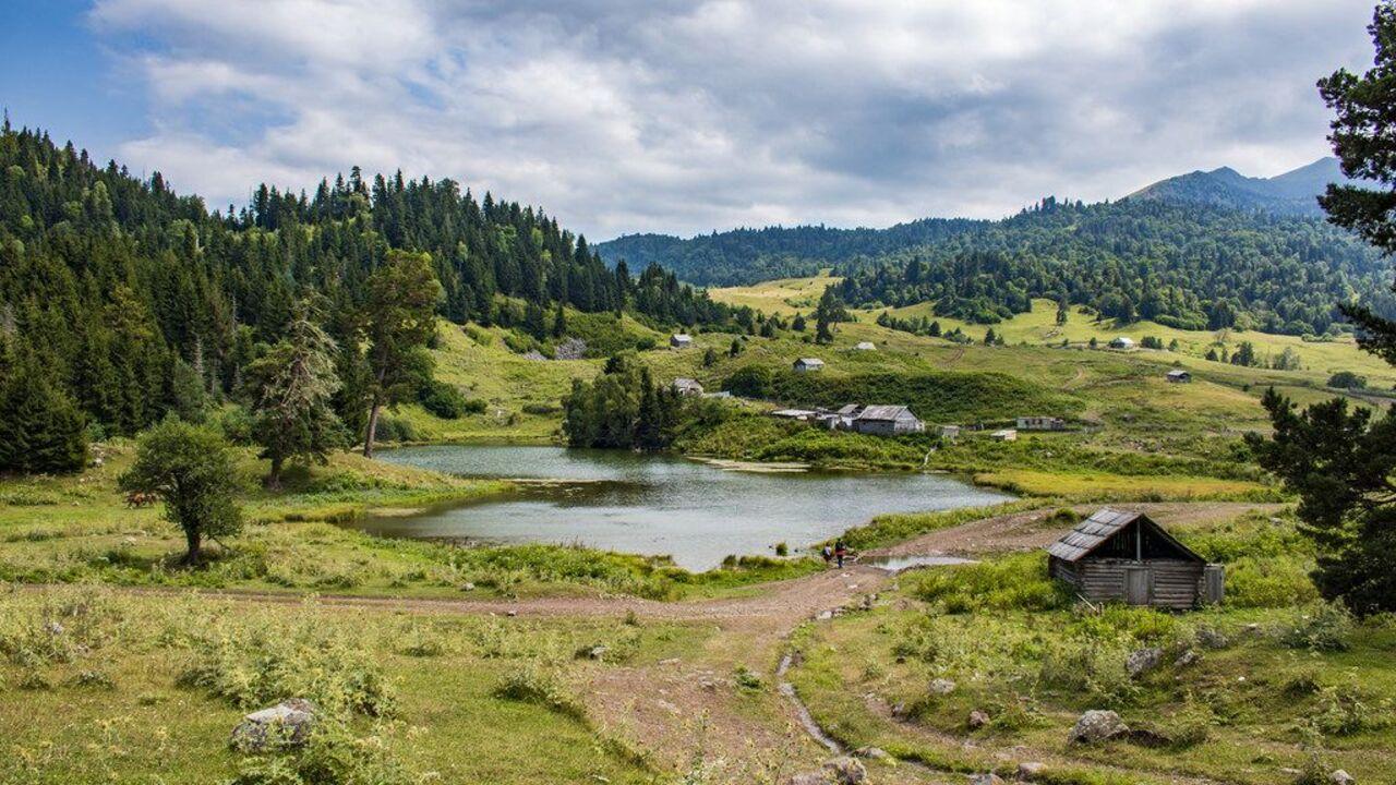 From Tbilisi: Borjomi Mountain SUV Alpine Safari Tour 2