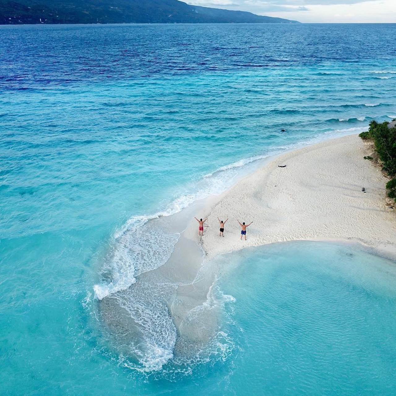 Cebu: Whale Shark Swim, Tumalog Falls & Sumilon Sandbar Tour 2