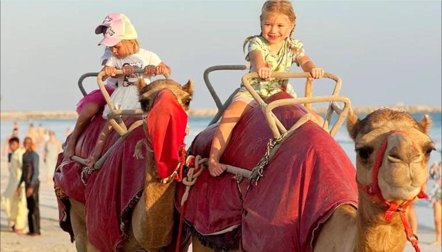 Authentic Arabian Camel Trek: Salalah Coastal Heritage 2