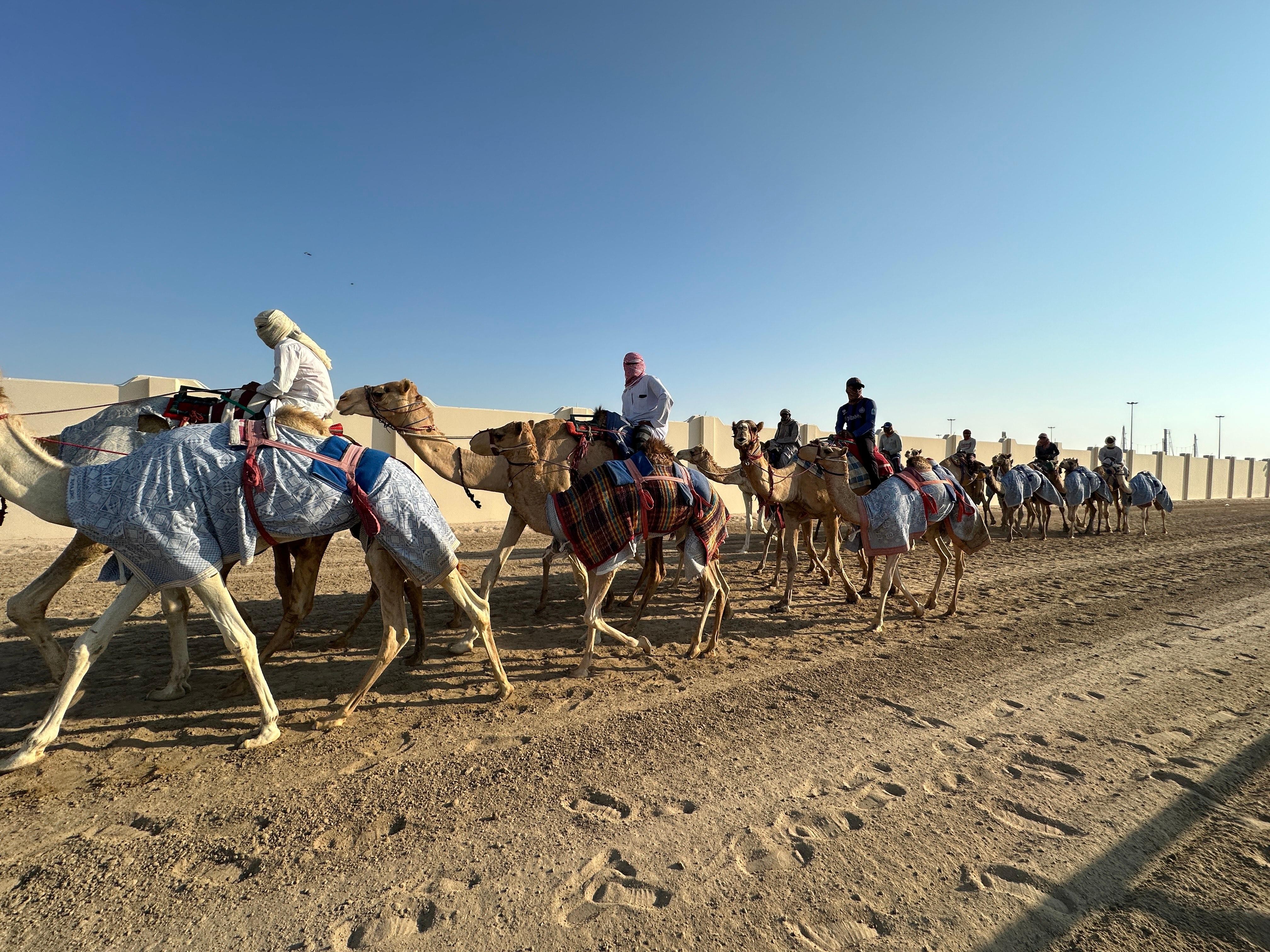 Doha: Explore the North and West of Qatar With Transfers 2