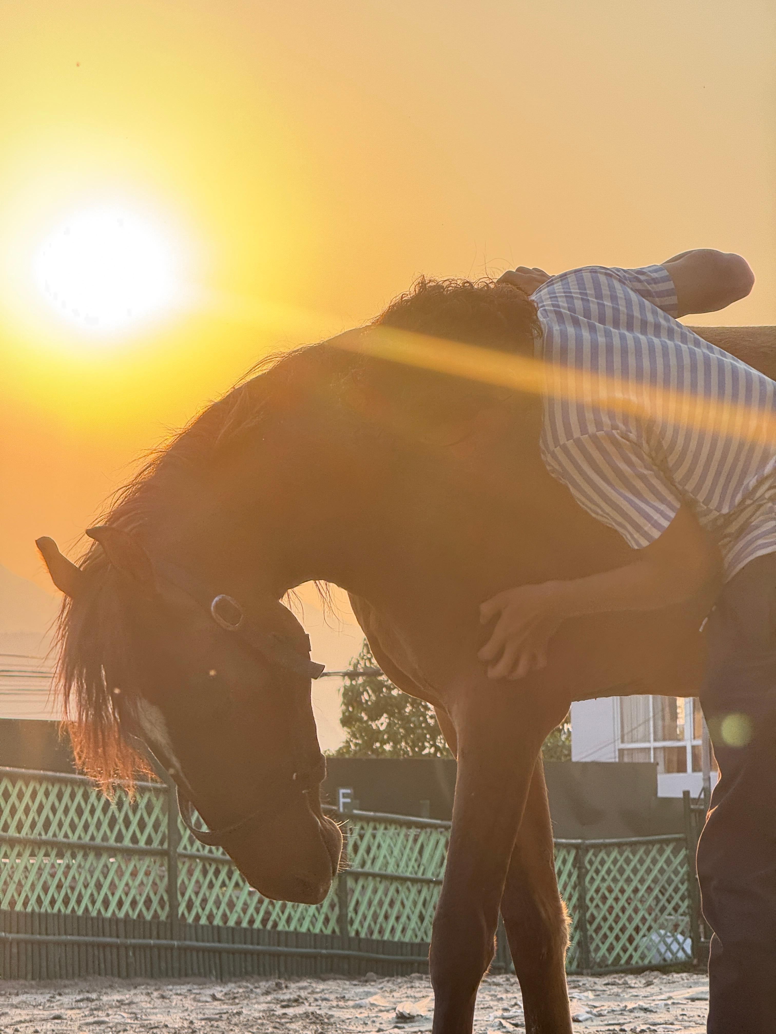 Kathmandu: 5-Day Horse Retreat with Yoga & Meditation 2