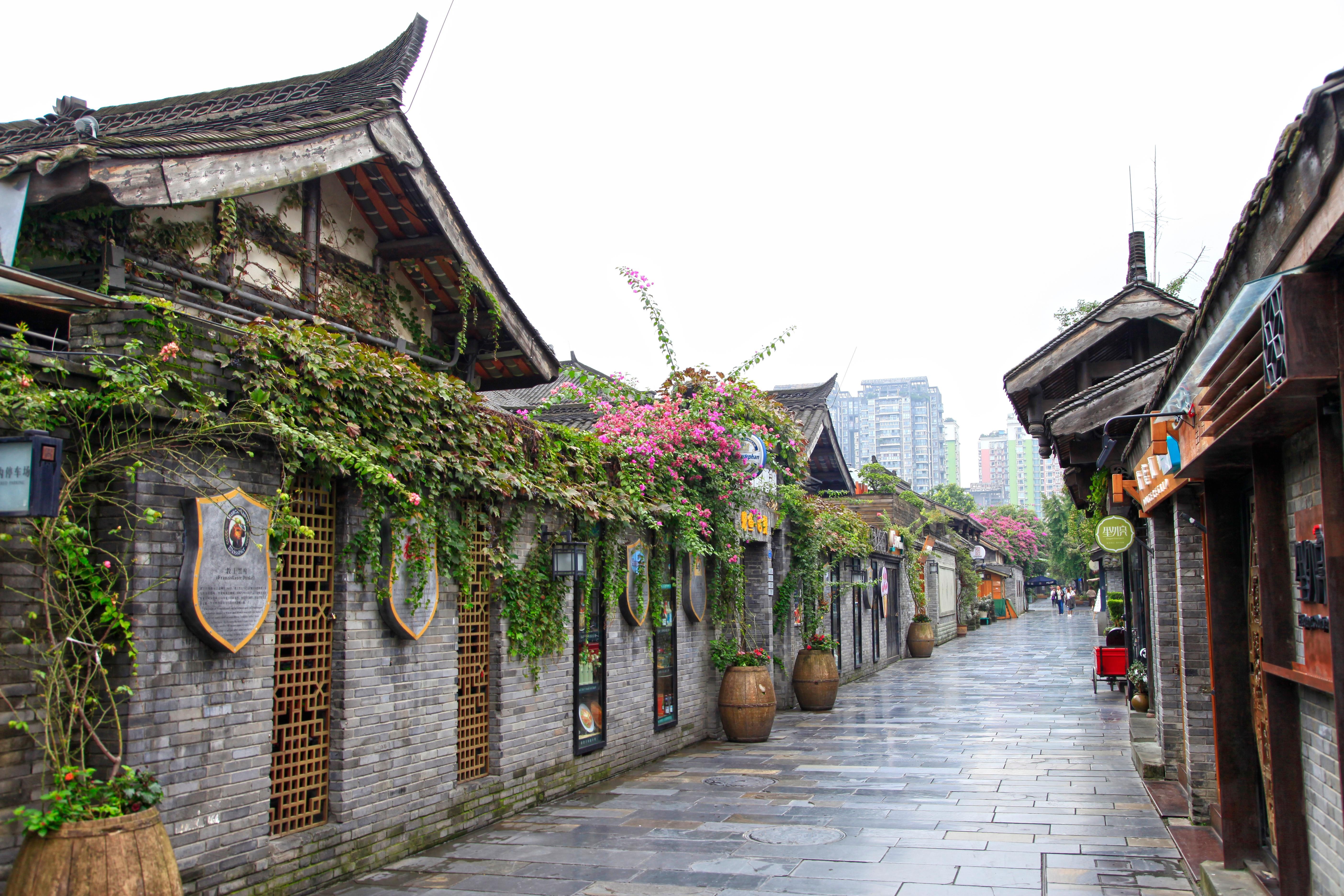 Chengdu One Day: Greenway, People’s Park & Kuanzhai Alleys 2
