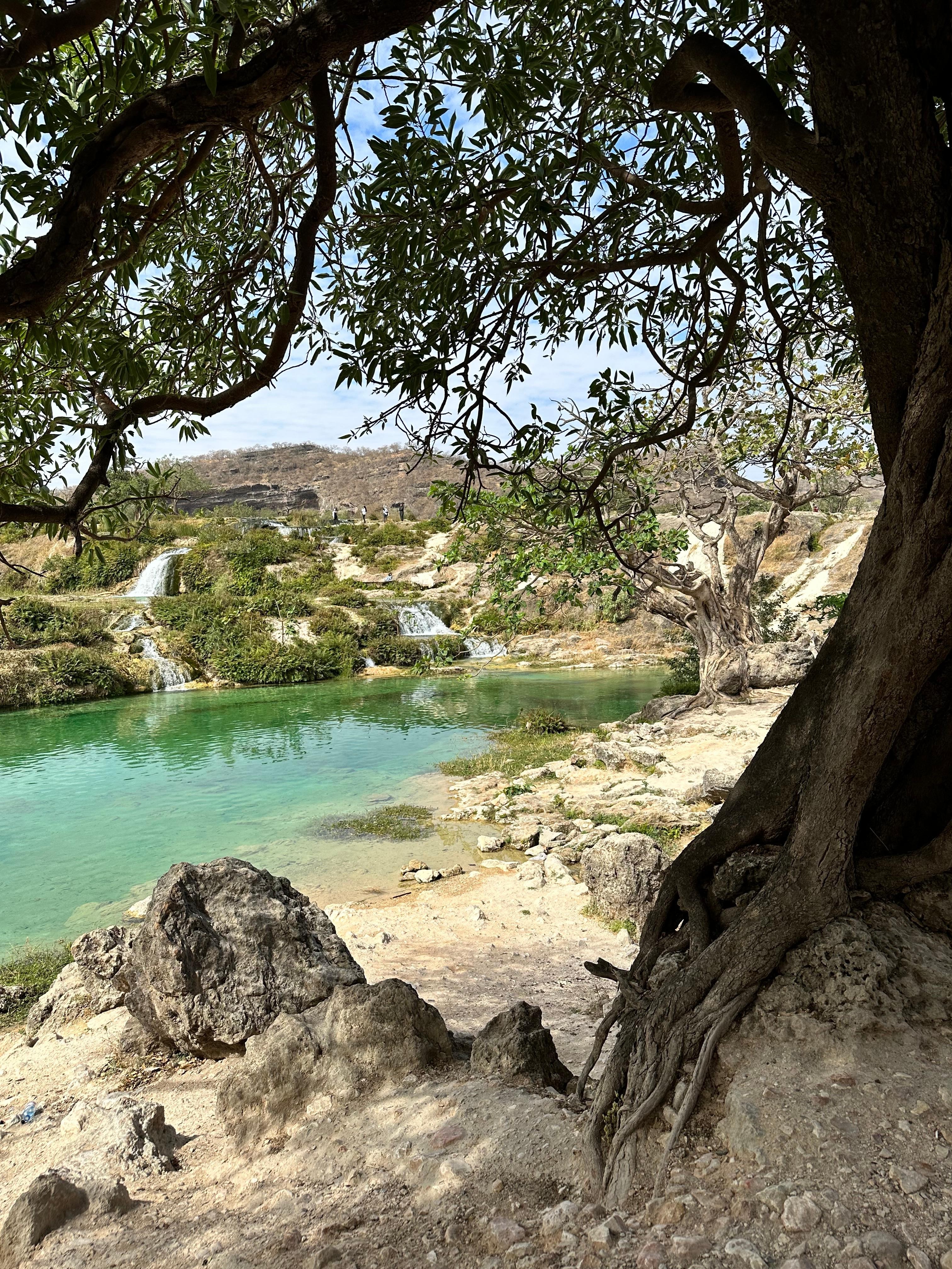Explore Salalah Wadi Darbat & Mount Samhan – Half-Day Tour 2