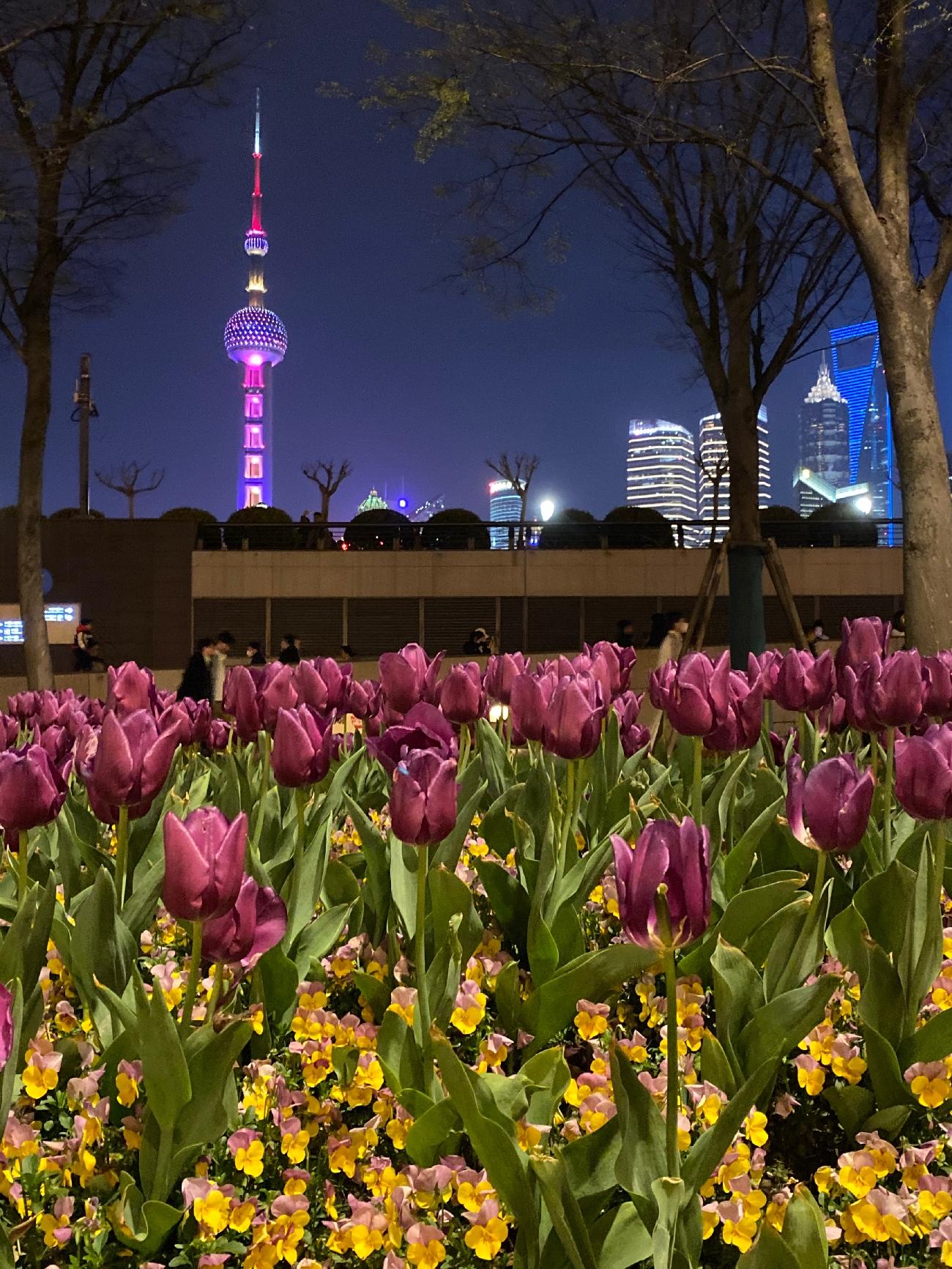 Yu Garden + The Bund + Night View from Shanghai Tower 2