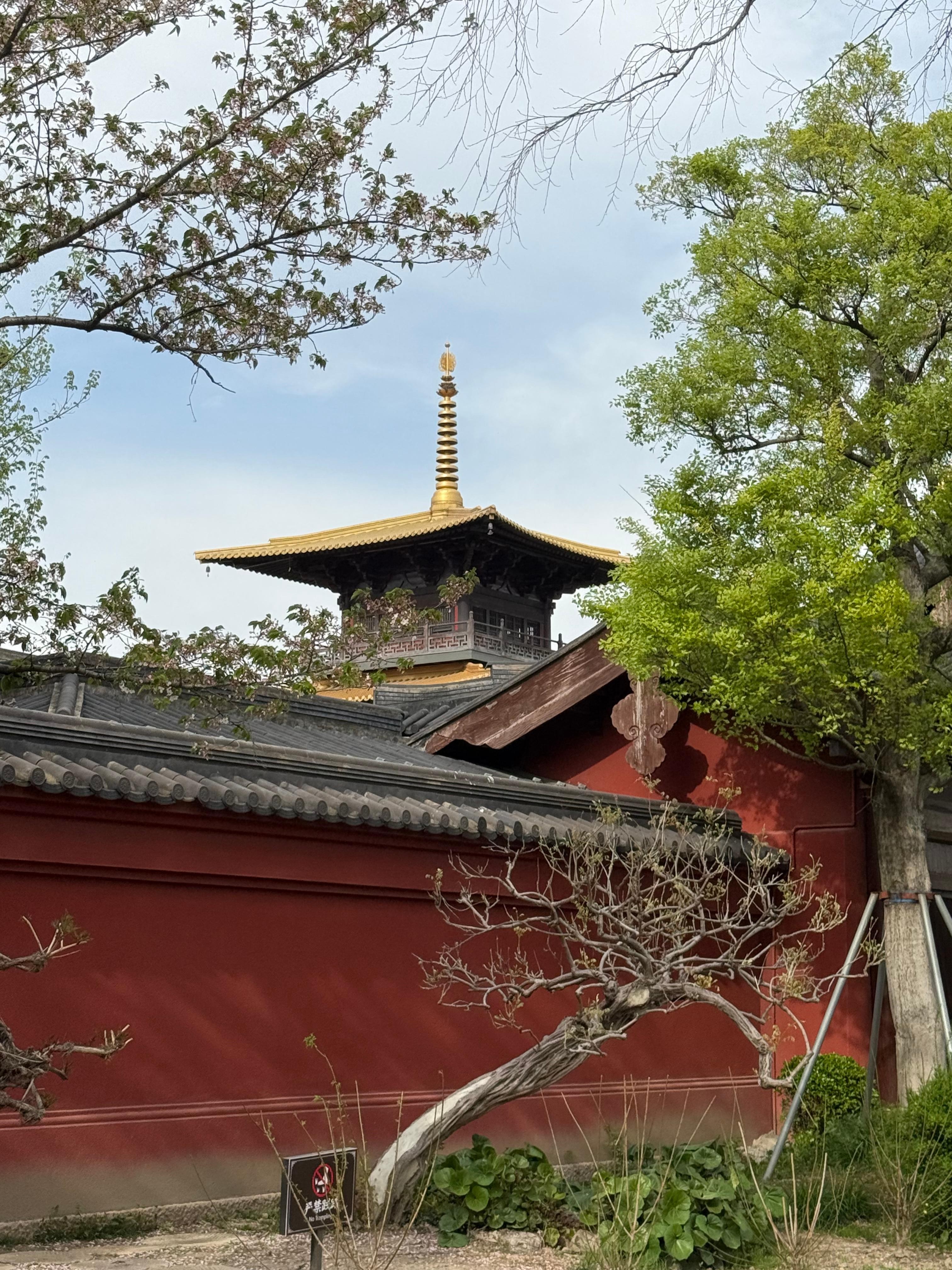 Full-day Root Of Shanghai Exploration (Tour) 3