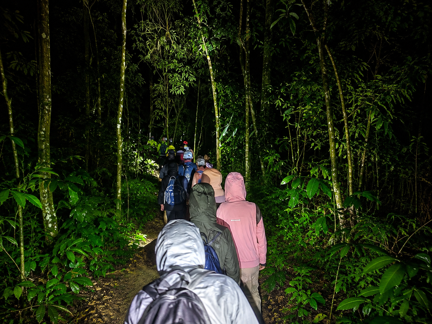 Taman Negara & Elephant Conservation Centre visit 2-Day Trip 3