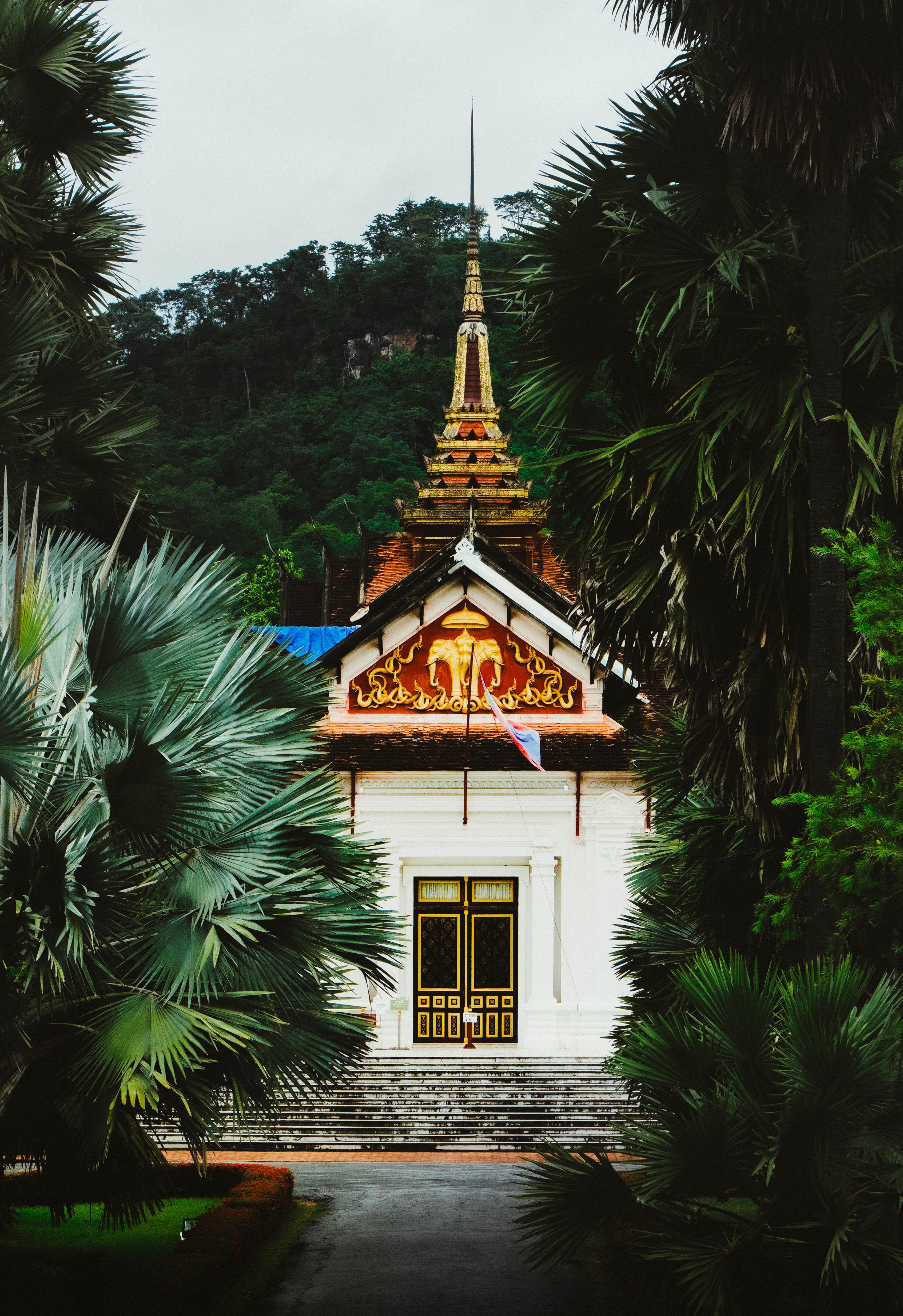 Luang Prabang: Morning Alms Giving & Pak Ou Caves Cruise 3