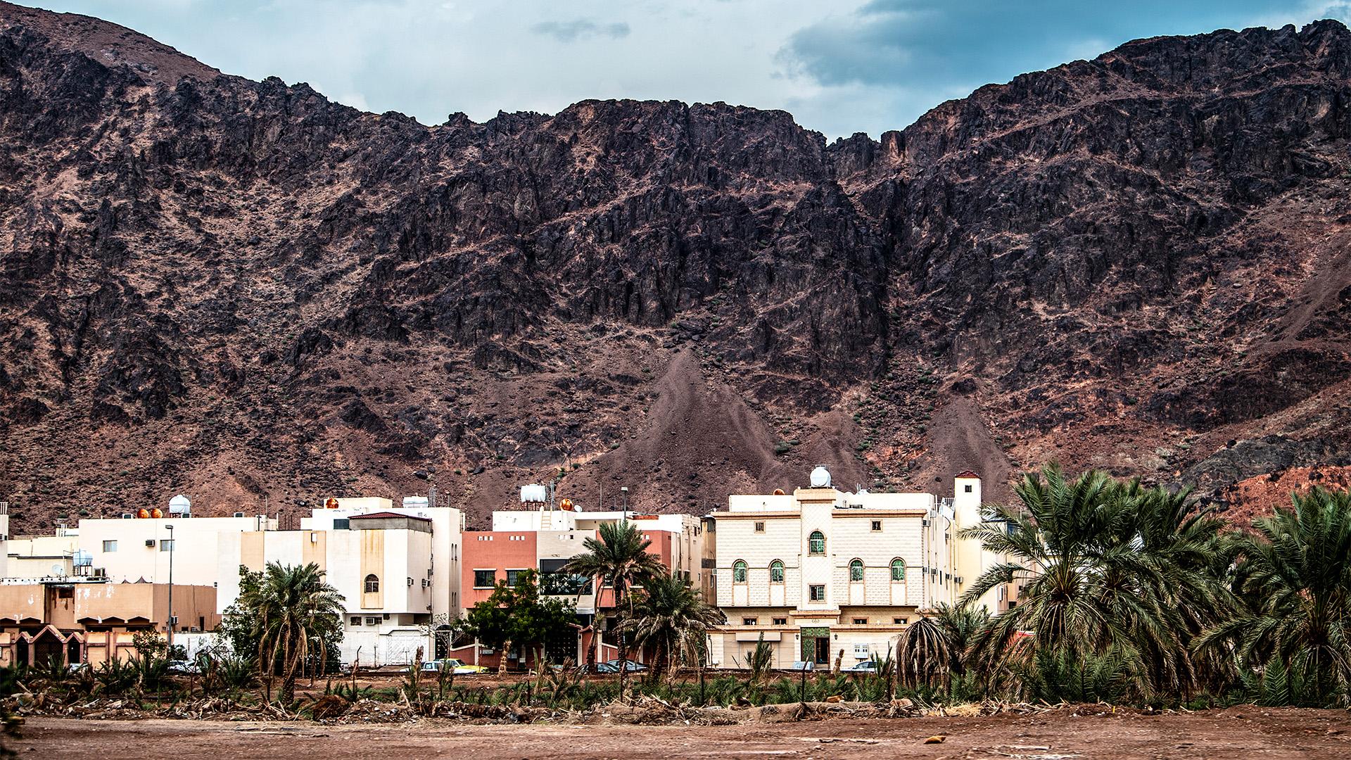 Madinah Experience with optional lunch from Madinah 2