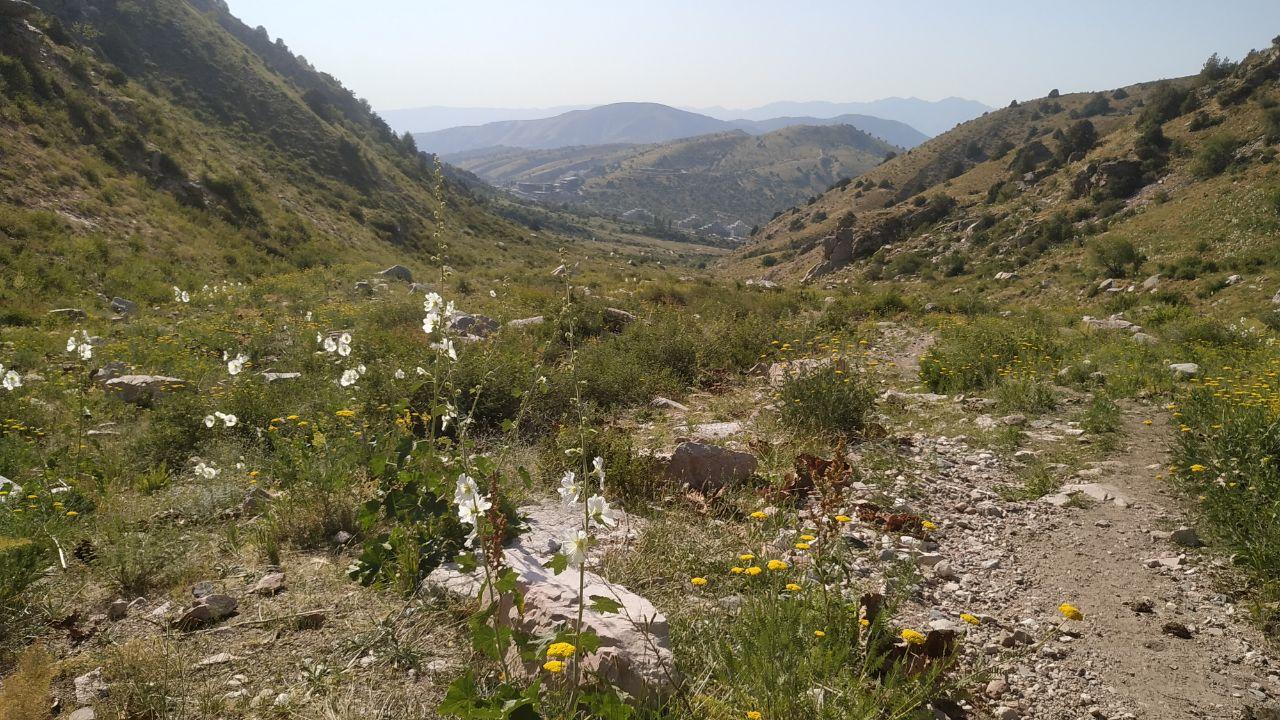 Tashkent: Tien Shan Mountains Guided Hike with Picnic 3