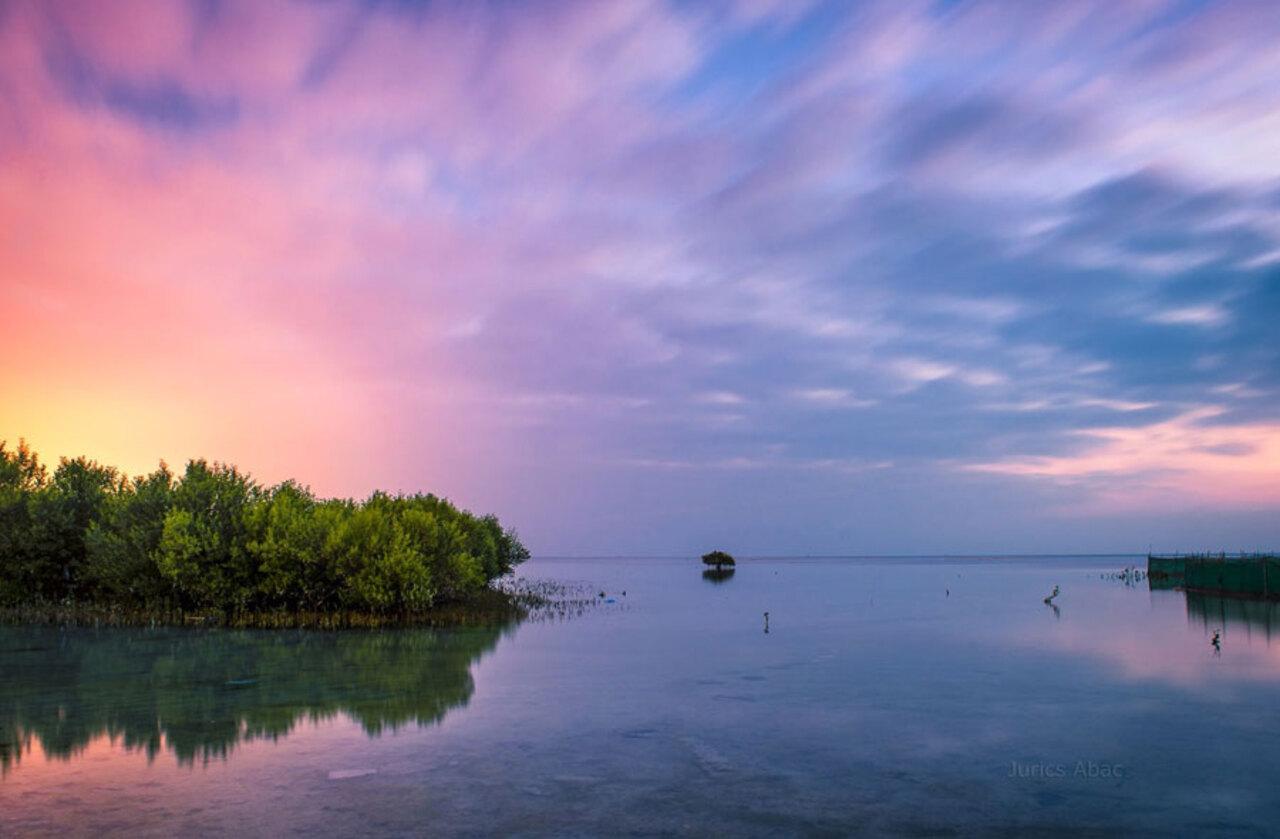 North Qatar: Zubara Fort, Jumail Village, Thakhira Mangroves 3
