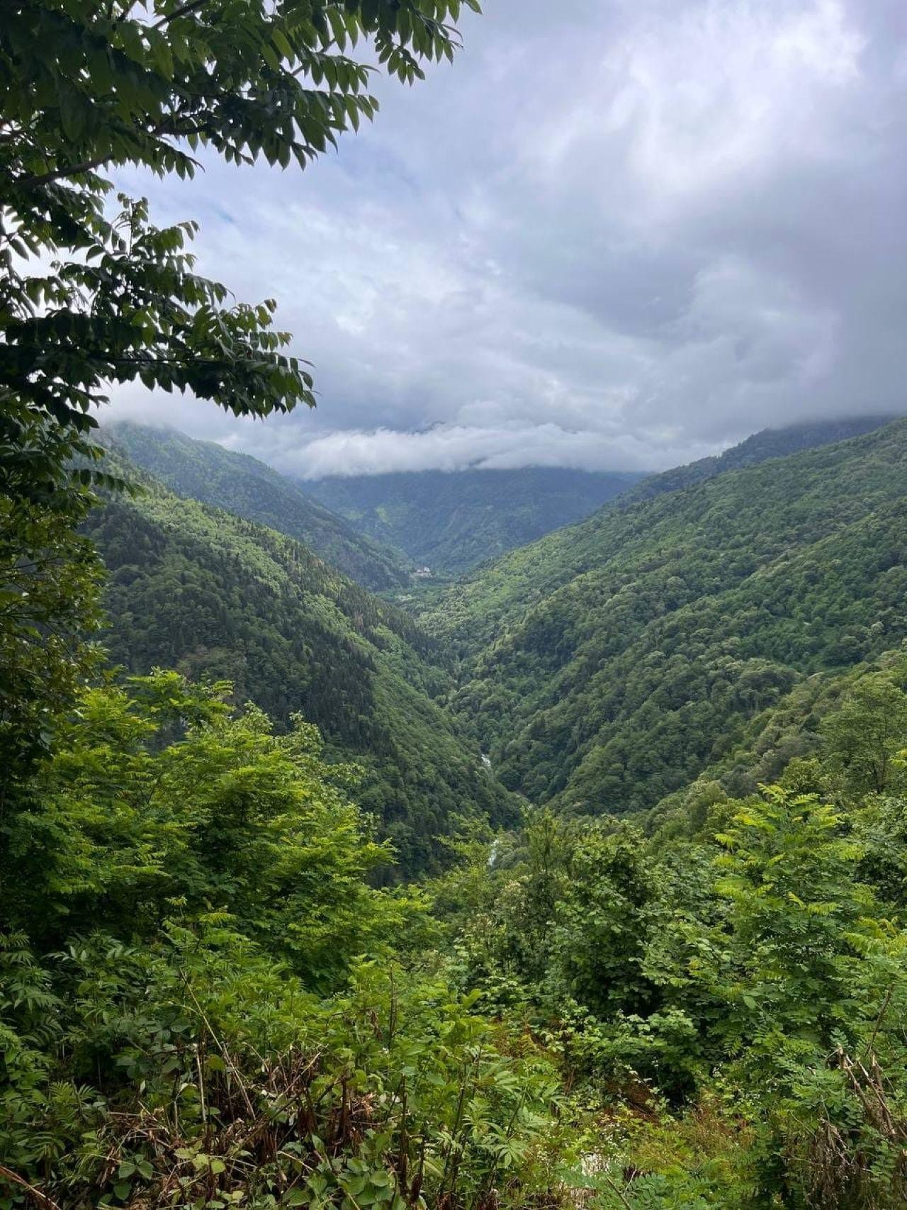 Discover Ajarian mountains with a flavor of wine 3