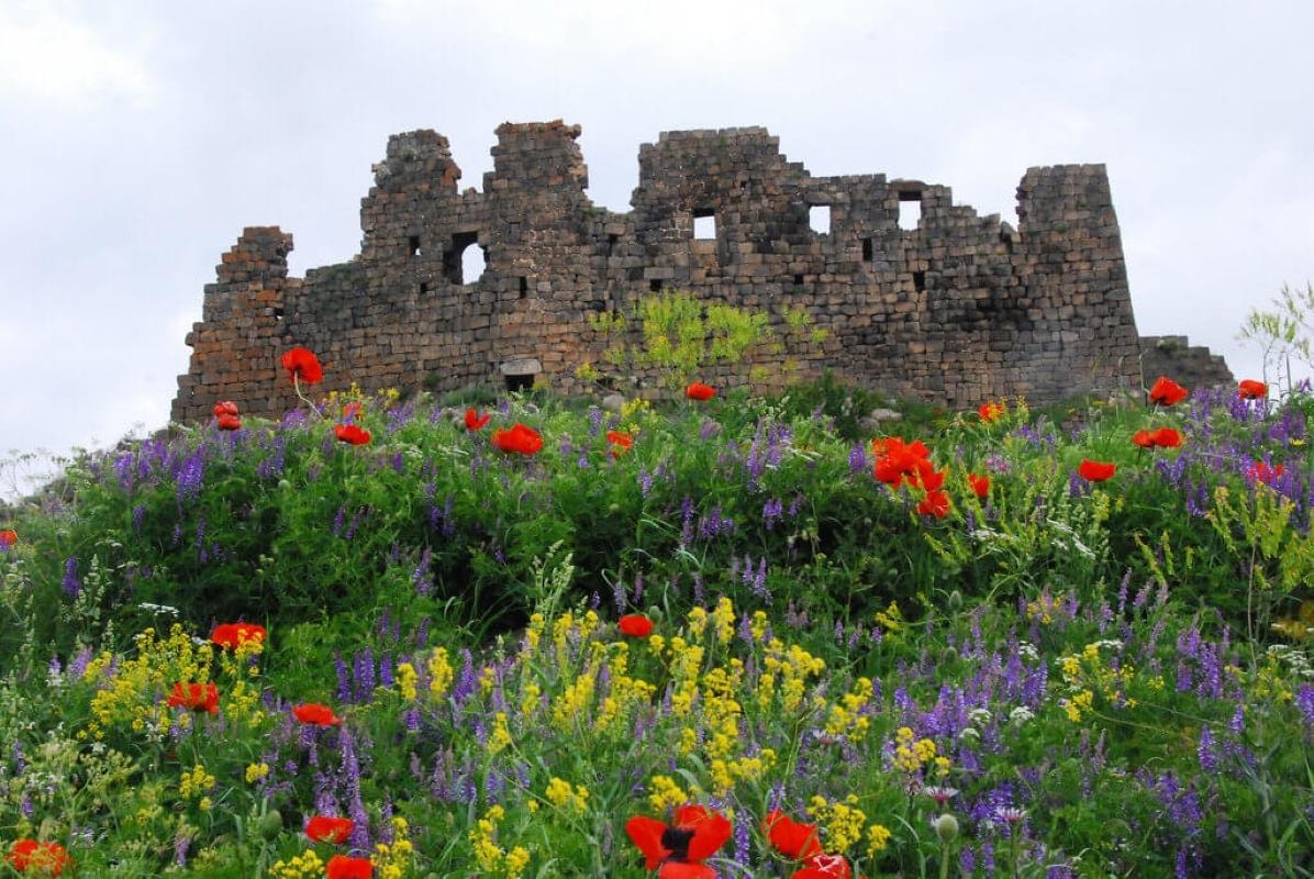 From Yerevan: Saghmosavank, Alphabet, Amberd or Ski Tour 2