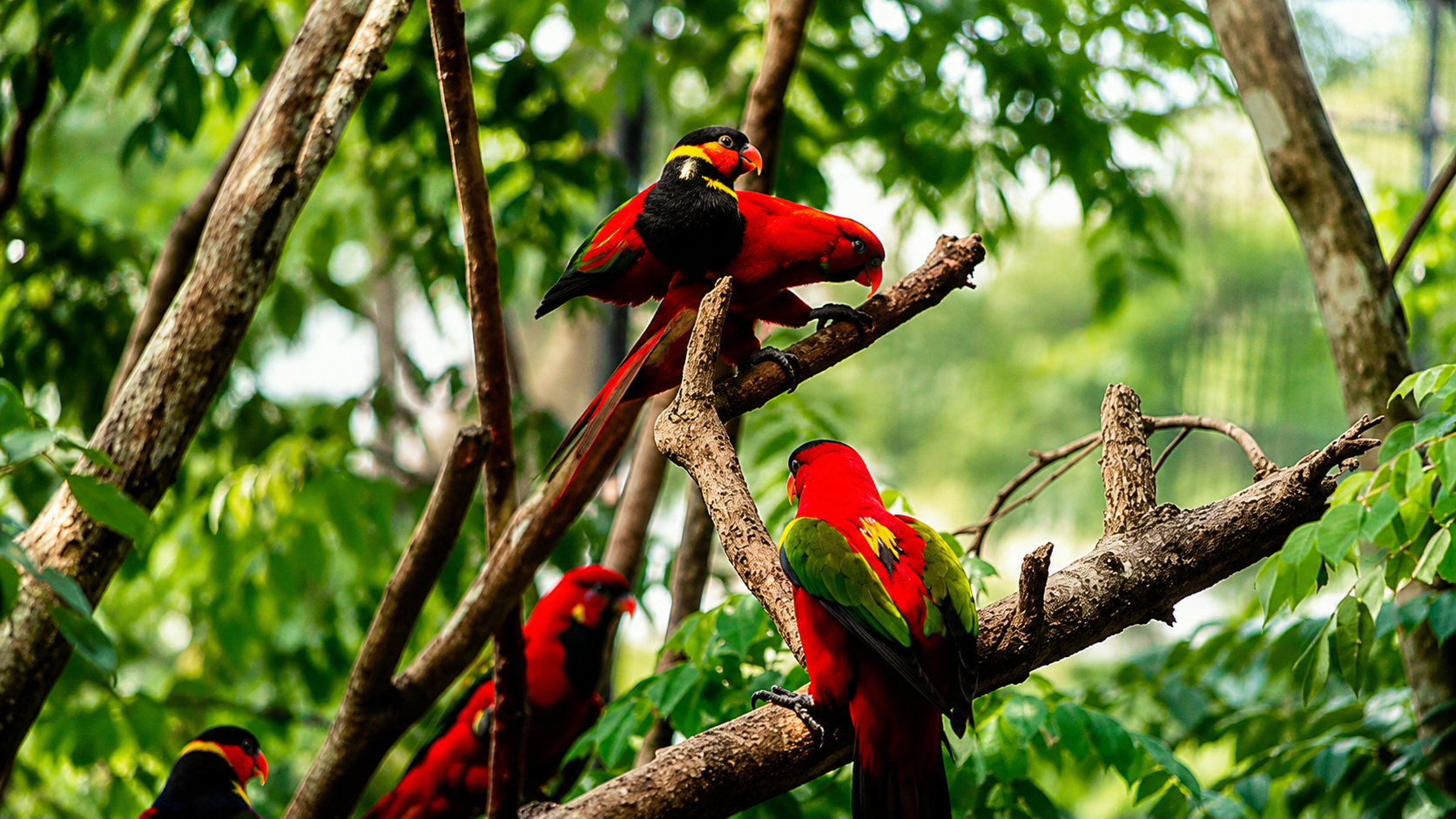 Cebu: Safari & Adventure Park Tour with Hotel Transfers 2