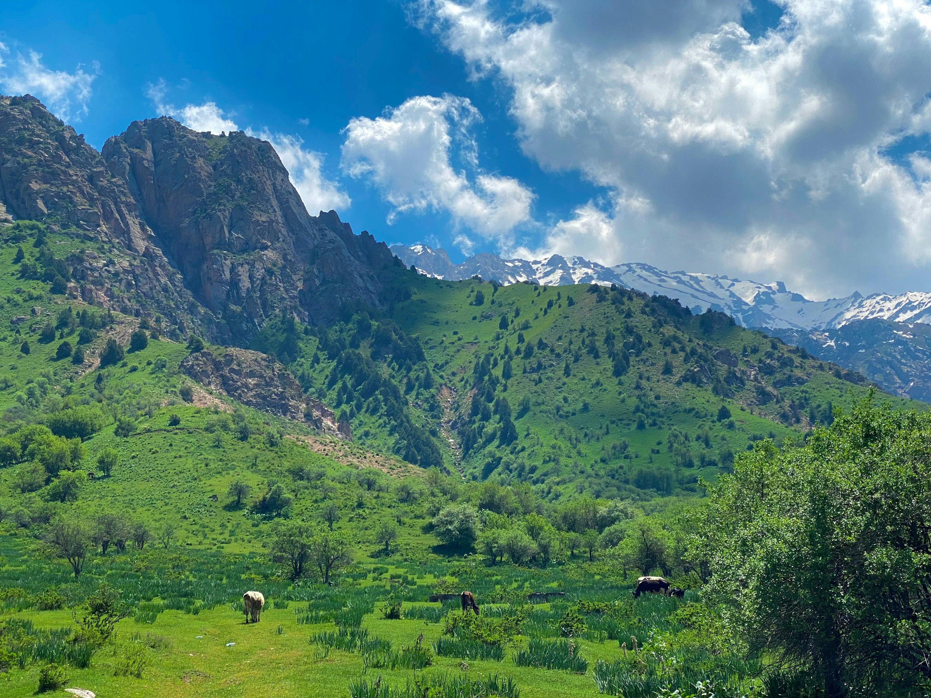 Explore Amirsoy Mountains & Charvak Lake from Tashkent