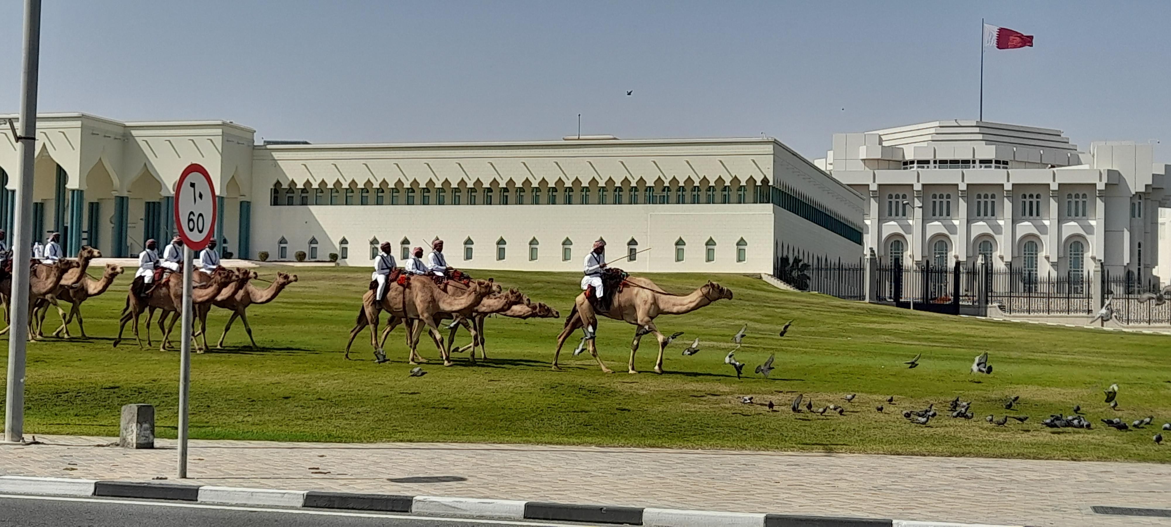 Walking Tour: Discover Souq Waqif 3